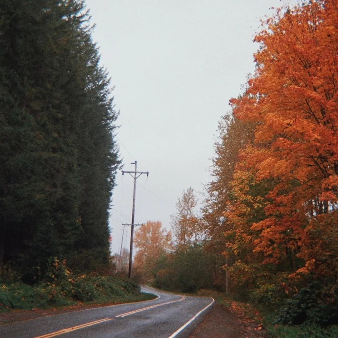 SaveVid.Net_71523365_246849286289605_3987598911483721386_n.jpg
