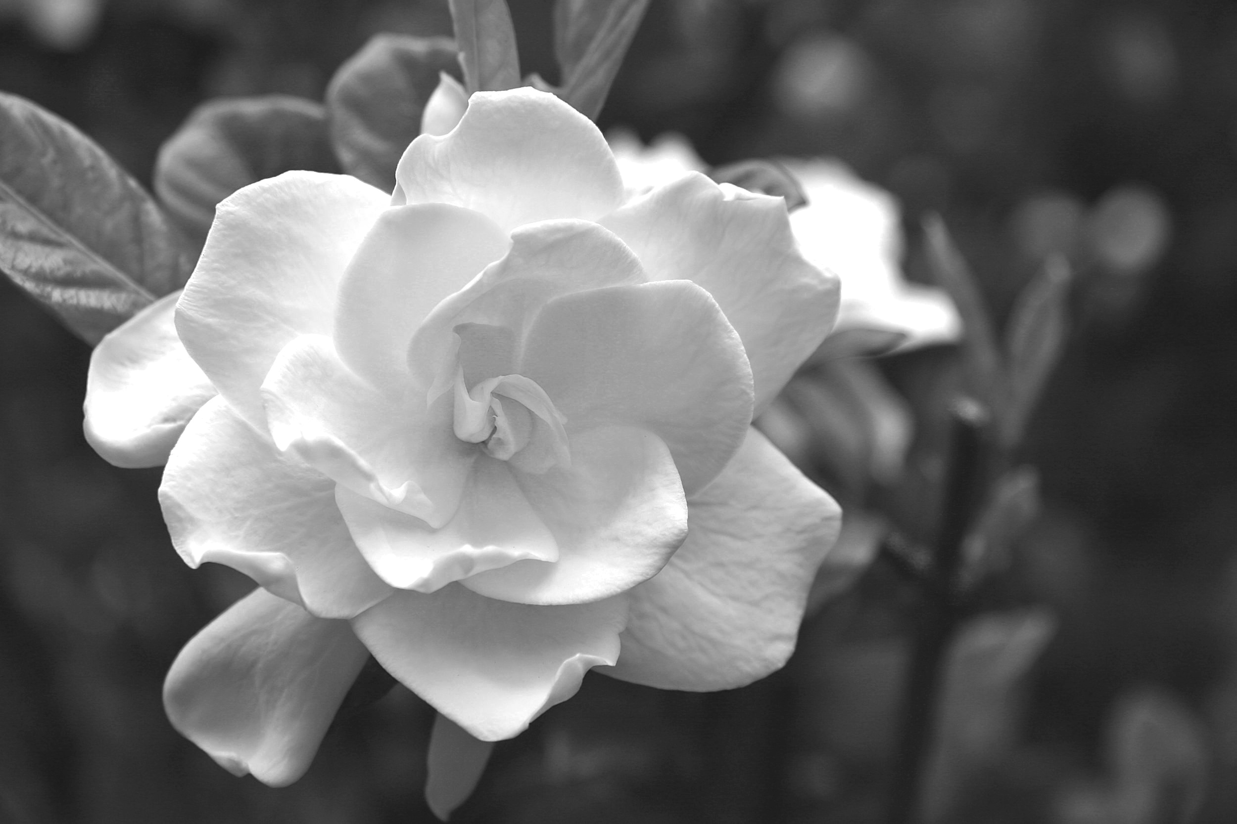 AdobeStock_97992690.jpg