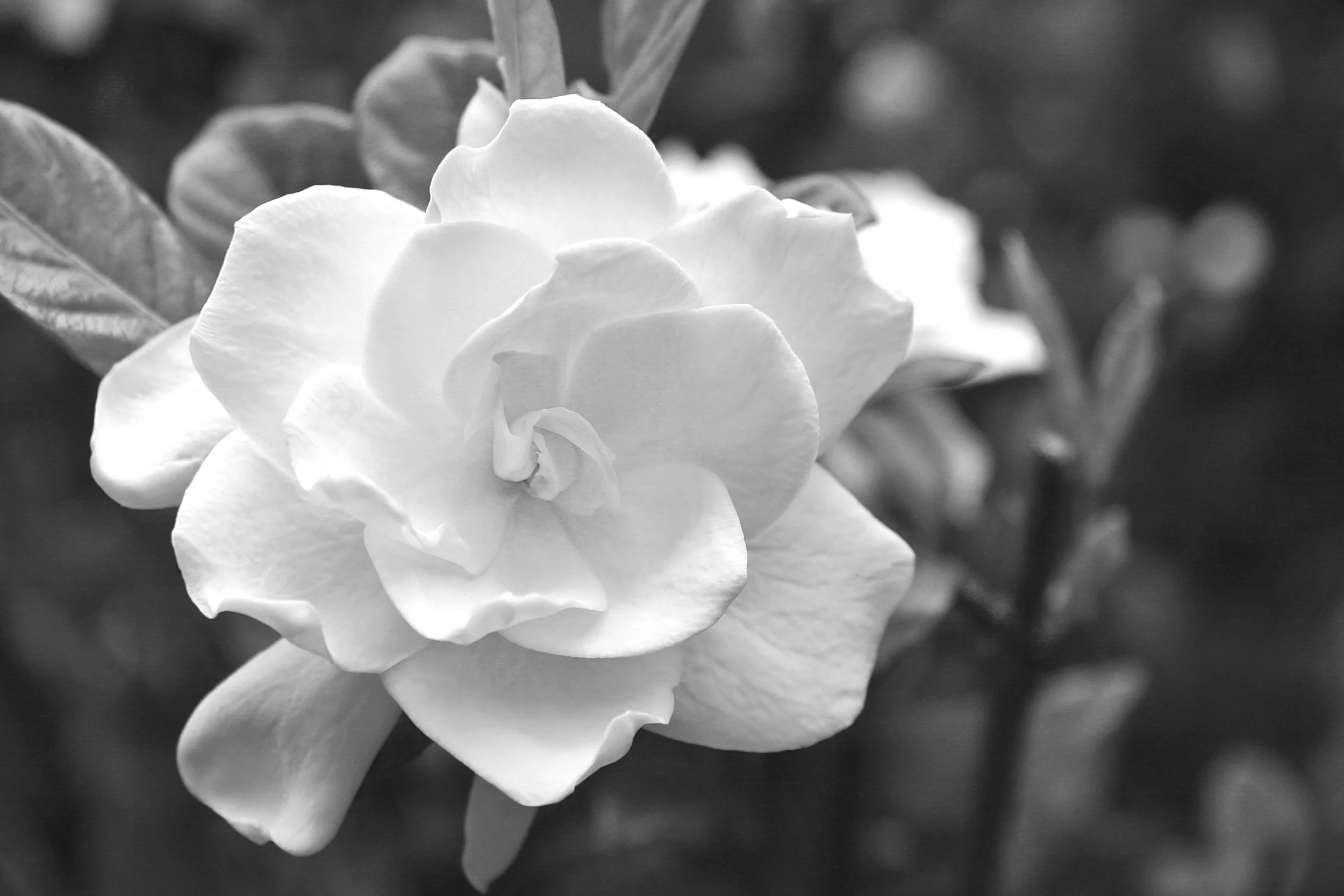 AdobeStock_97992690.jpg