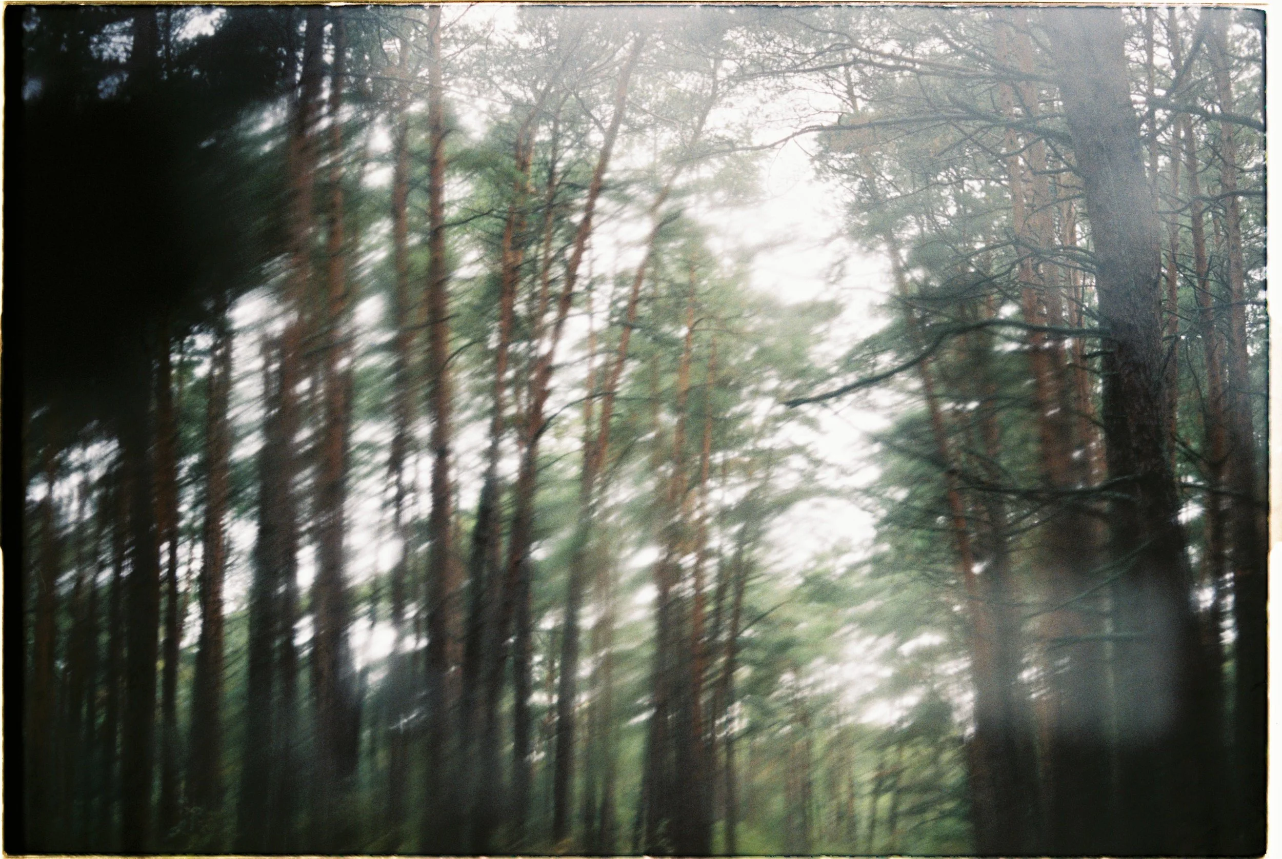 The Art of Coping with Rumination: Finding Peace