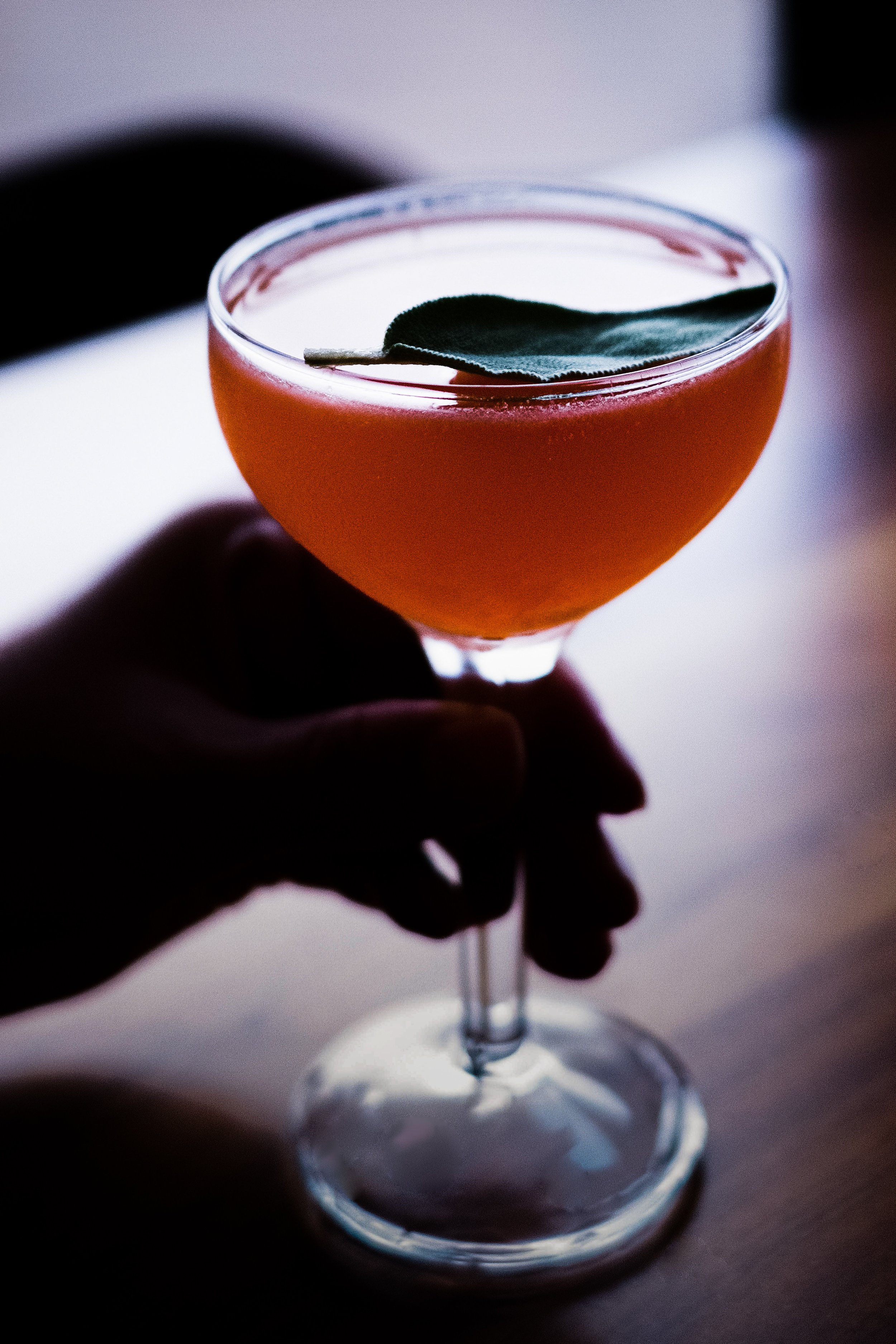 Poplar Cocktail-1.jpg