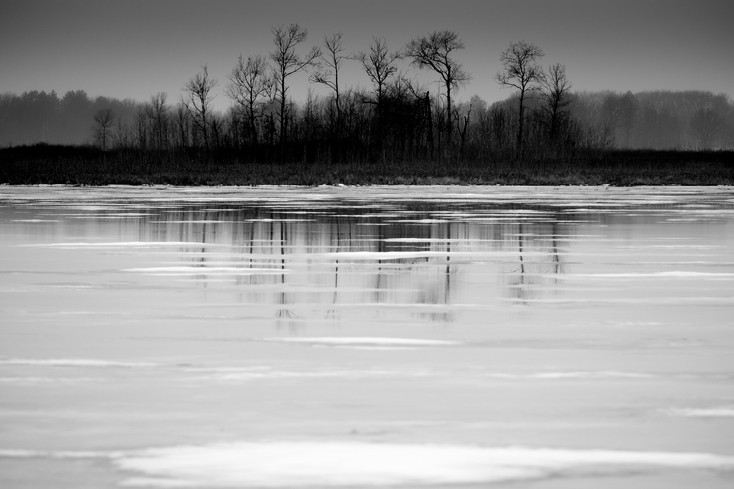 Water and Ice Series-BW Carlos Avery.jpg