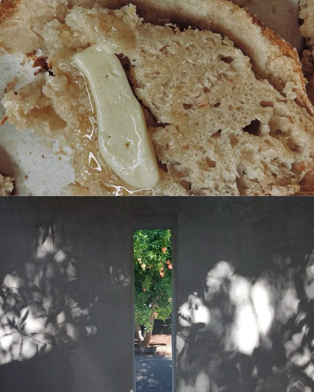 i wrote you a newsletter 💌 why i&rsquo;m no longer choosing to change plus 12 small bites of late that have changed me, on substack now