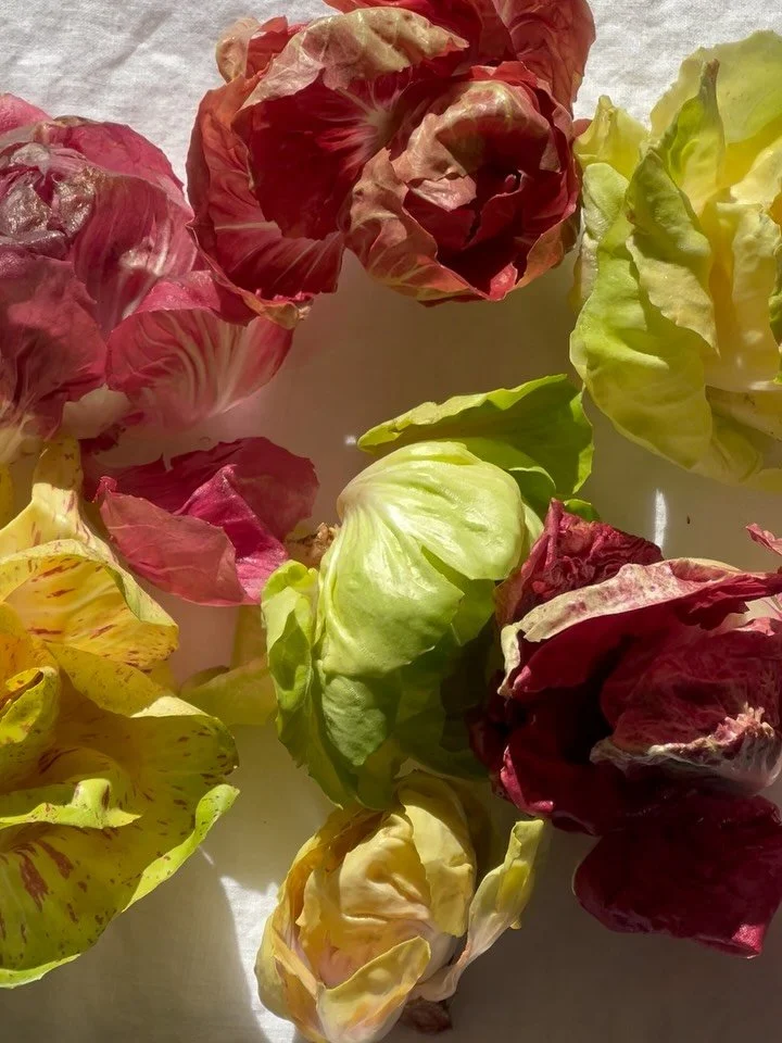 the days of wine and roses 💌💌