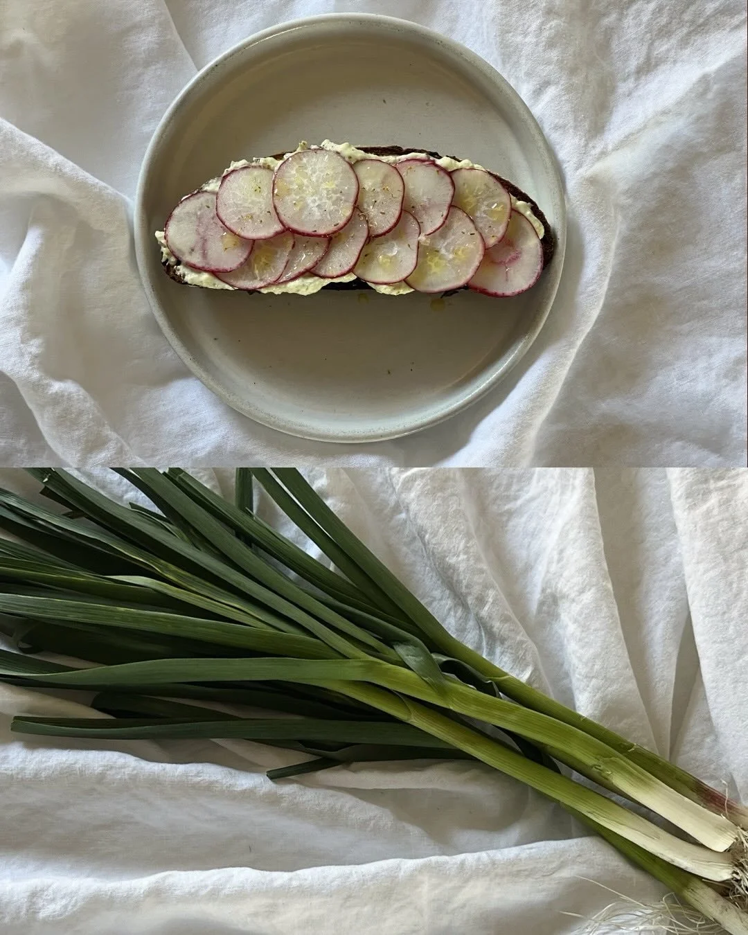 march may be over but i&rsquo;m not over it. some of my favorite things on substack, i hope you enjoy 💌💌