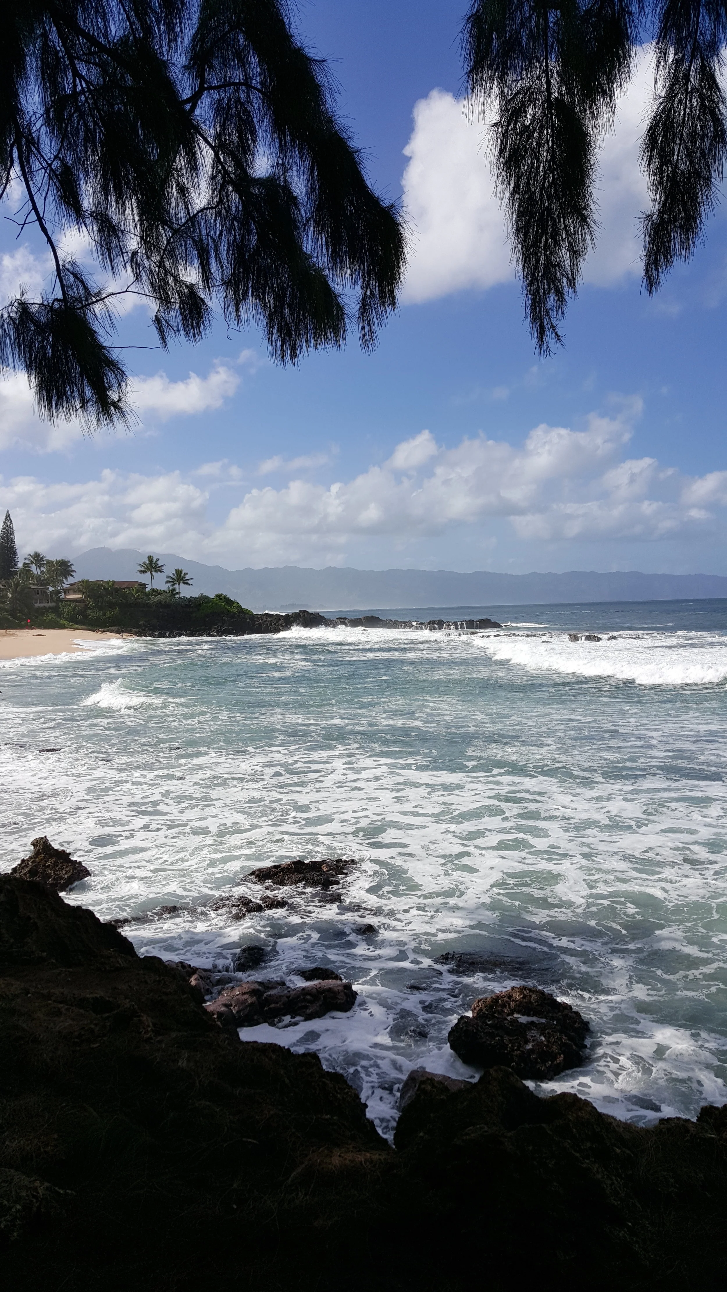 20151129_104539.jpg