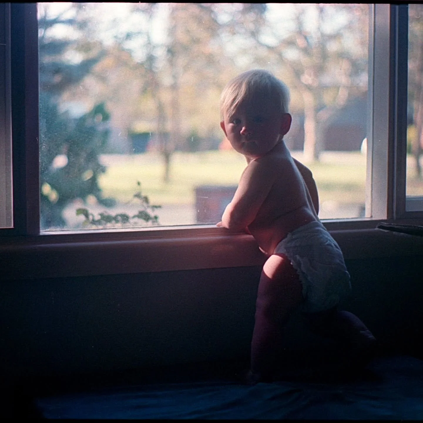 I was lucky enough to find an old Minolta loaded with Portra during the move, meaning Eden's first few days exploring the house and nearby park  were captured in celluloid. To say she's been enjoying herself would be an understatement.
