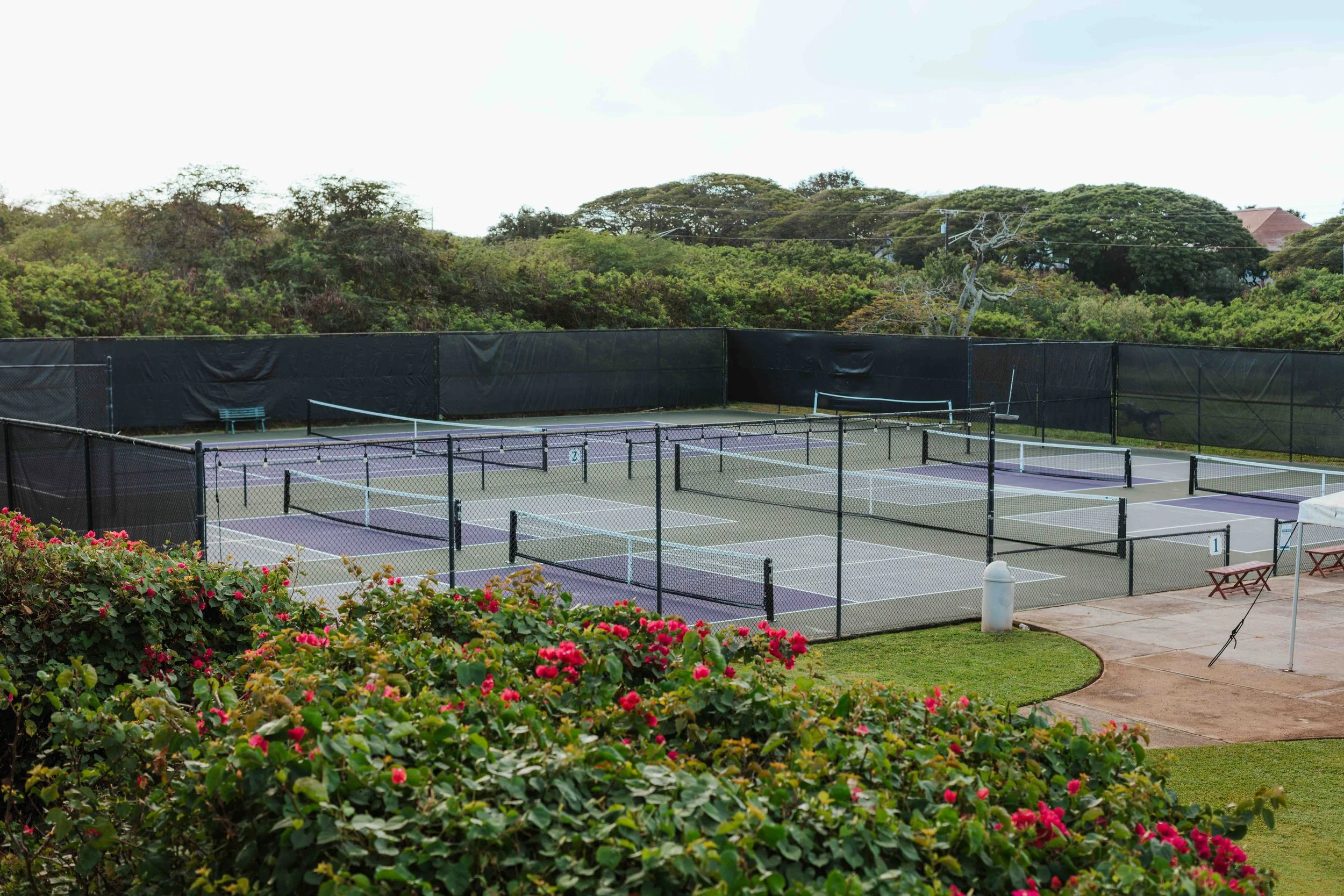 poipu beach tennis pic.jpg
