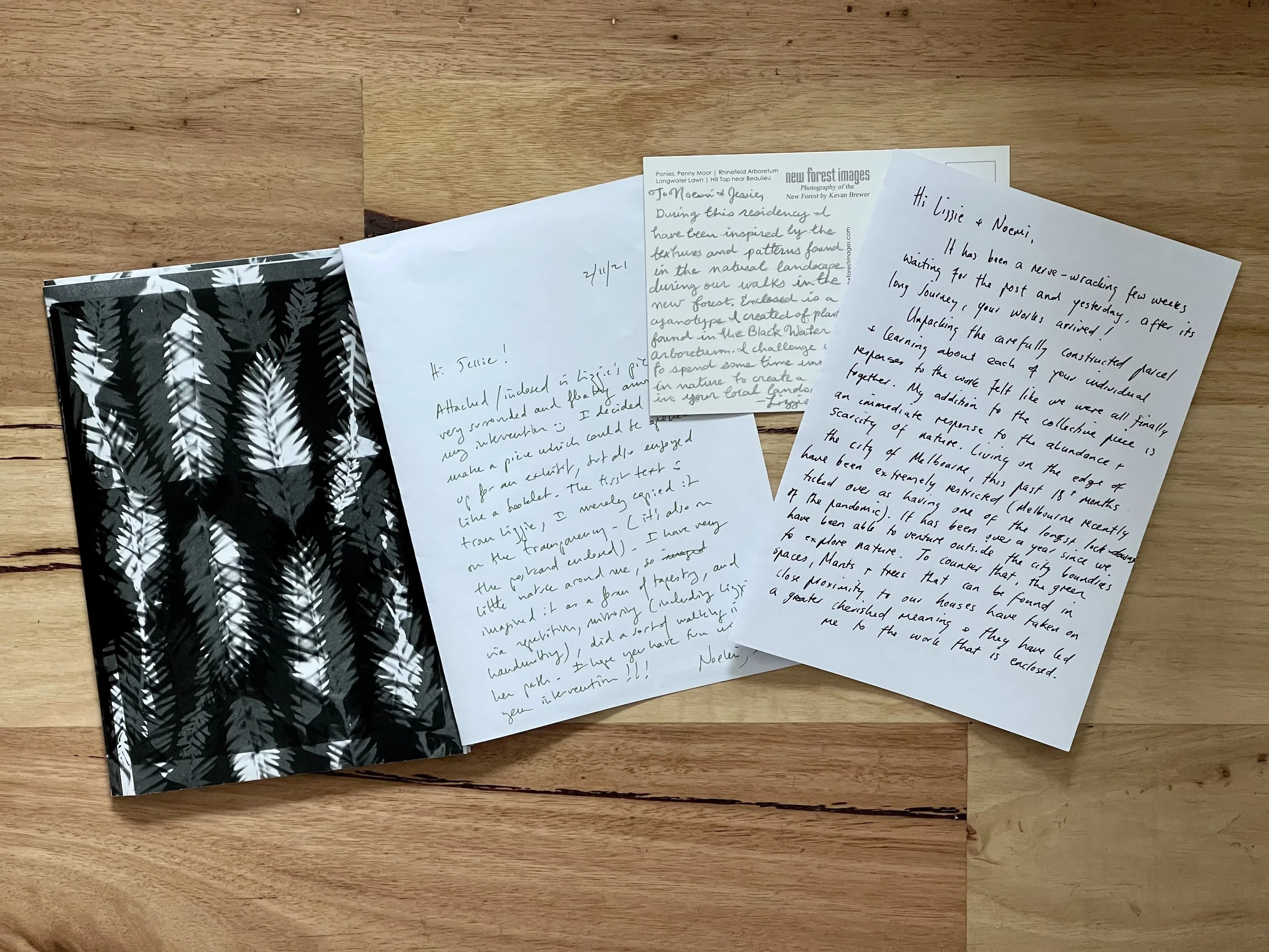   Despatch  was the exhibition outcome of mail art created by sixty-two  Work Show Grow  artists from across the world in 2022. For this inaugural art residency, twenty-one artists stayed in New Forest in the UK, visiting the Heritage Centre, Museum,