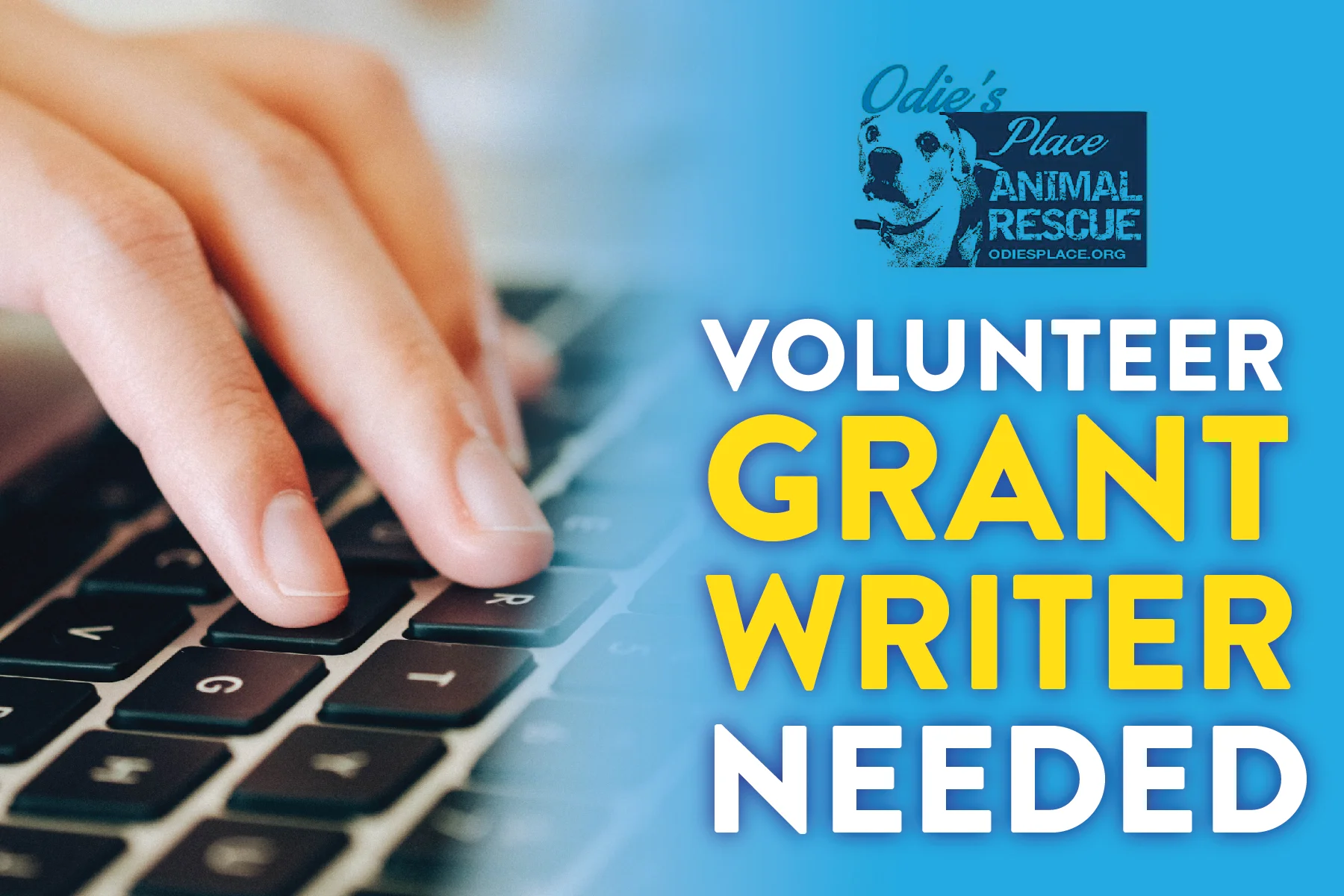 VolunteerGrantWriterNeeded_01-01.jpg