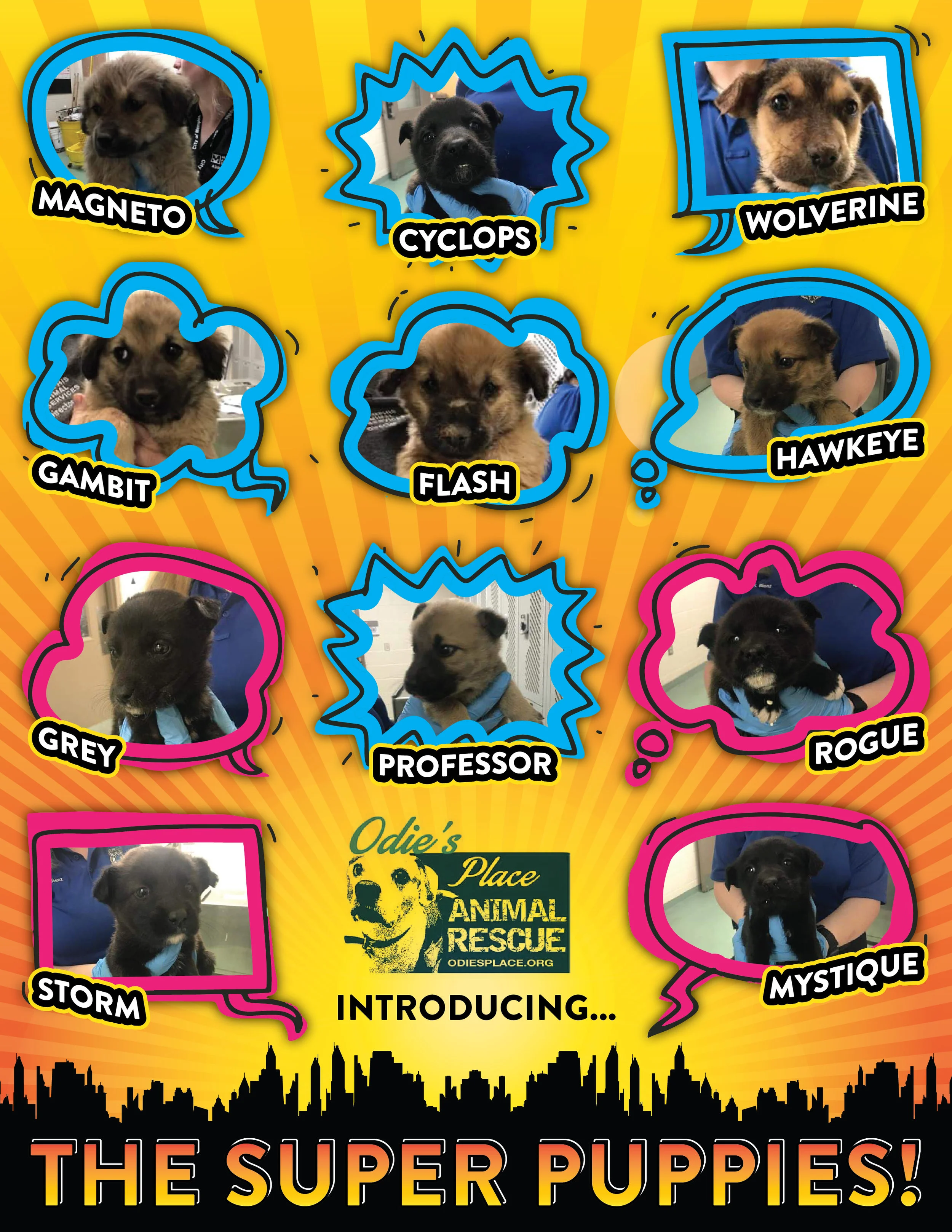 SuperPuppies_02-01.jpg