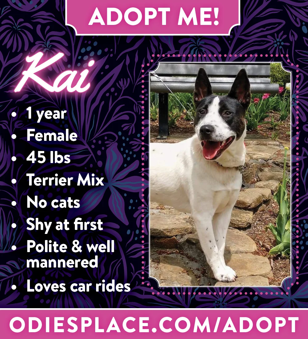 OP-ADOPTME_Talisa&Casterly_013.jpg