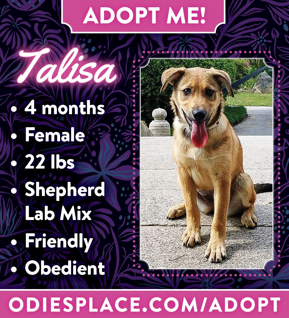 OP-ADOPTME_Talisa&Casterly_012.jpg