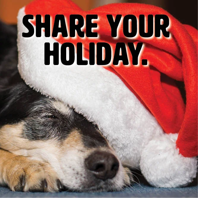 OP-FosterAds_ShareYourHoliday.jpg