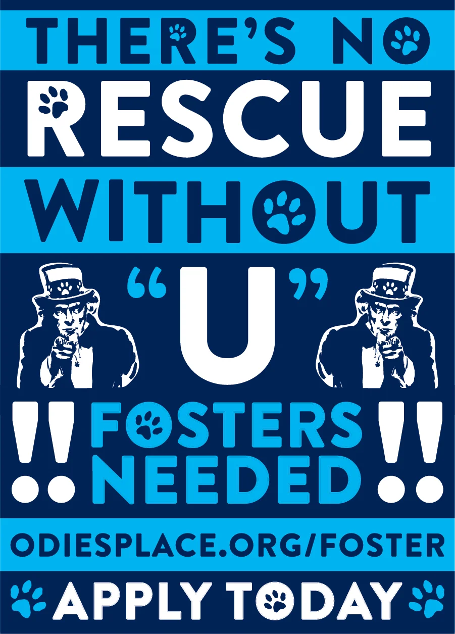 NoRescueWithoutU-FosterPromo_05-01.jpg