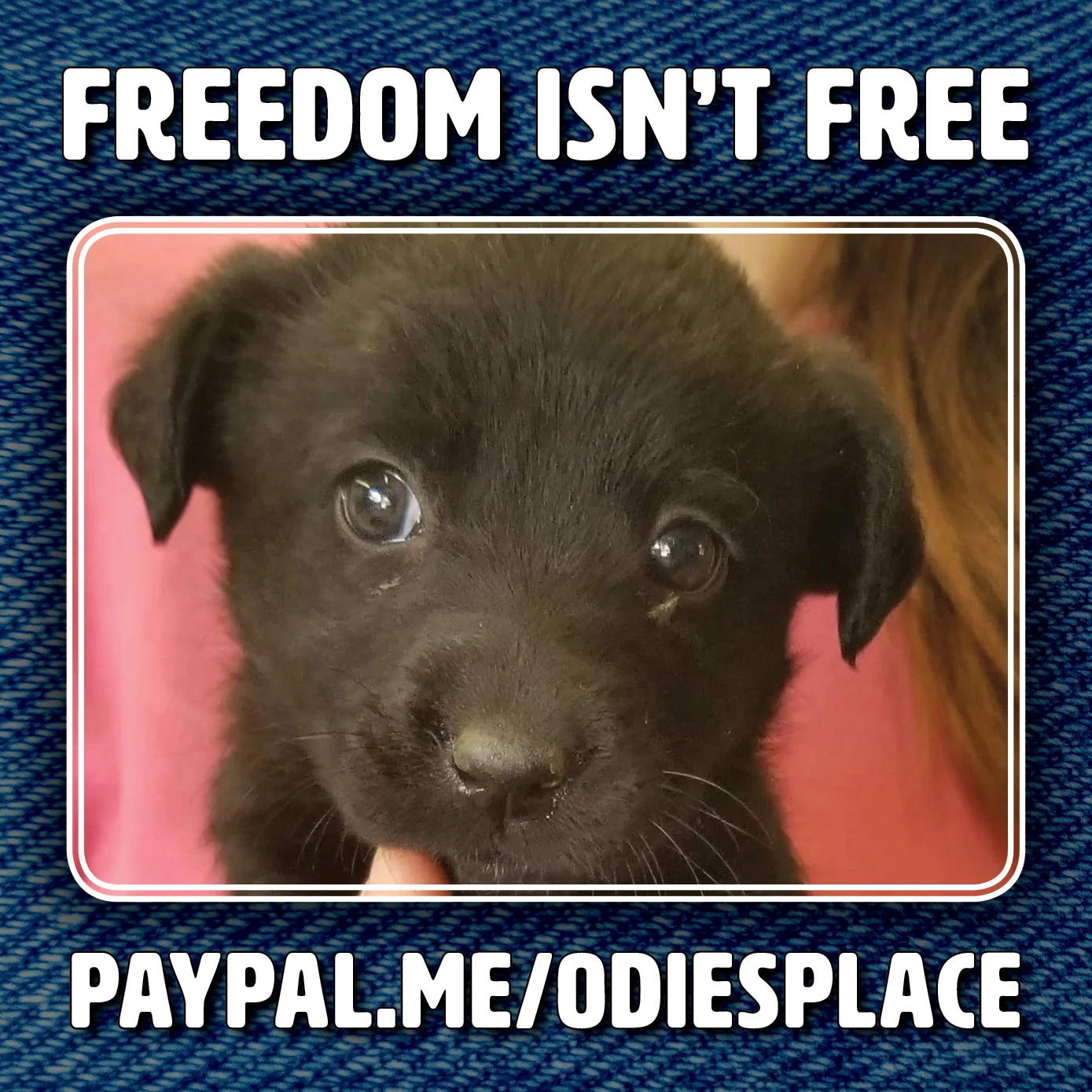 OP-BabiesDonationPromo_025.jpg