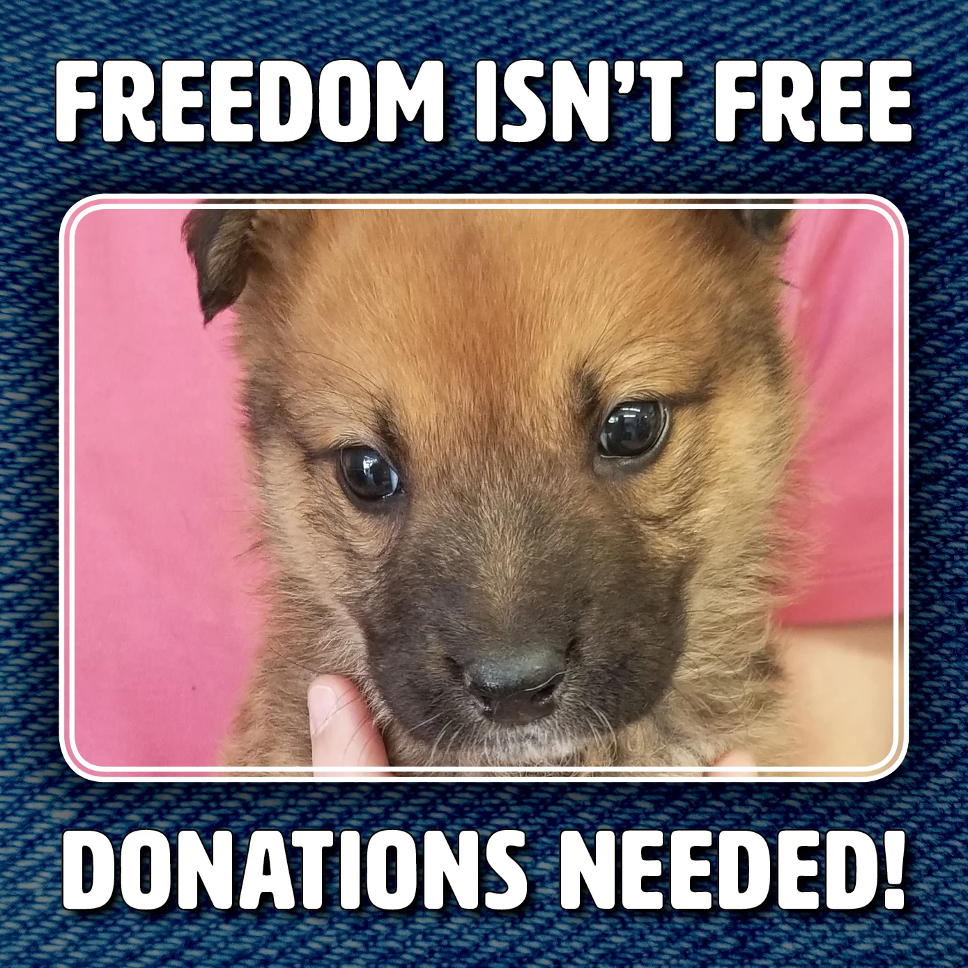 OP-BabiesDonationPromo_014.jpg