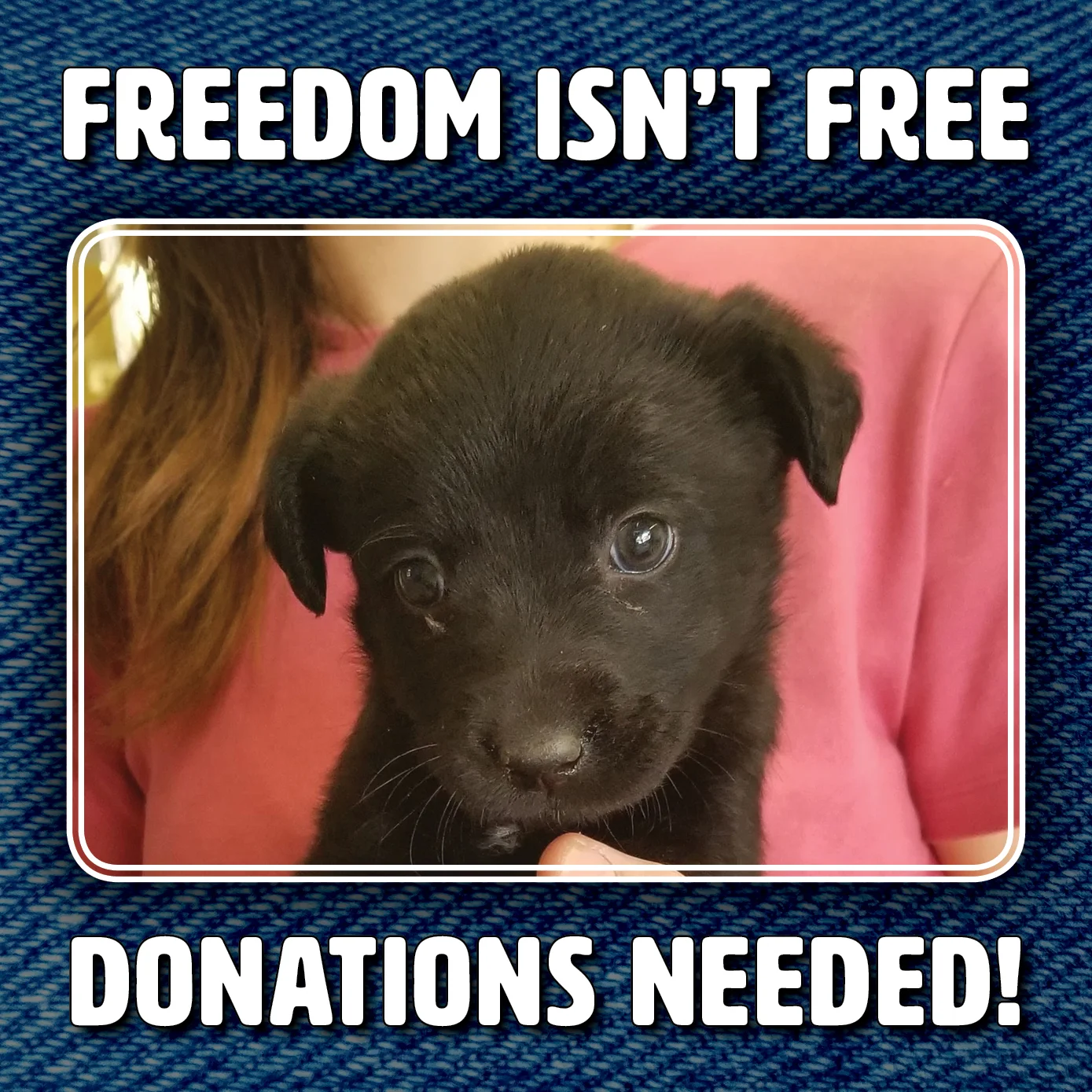 OP-BabiesDonationPromo_01.jpg
