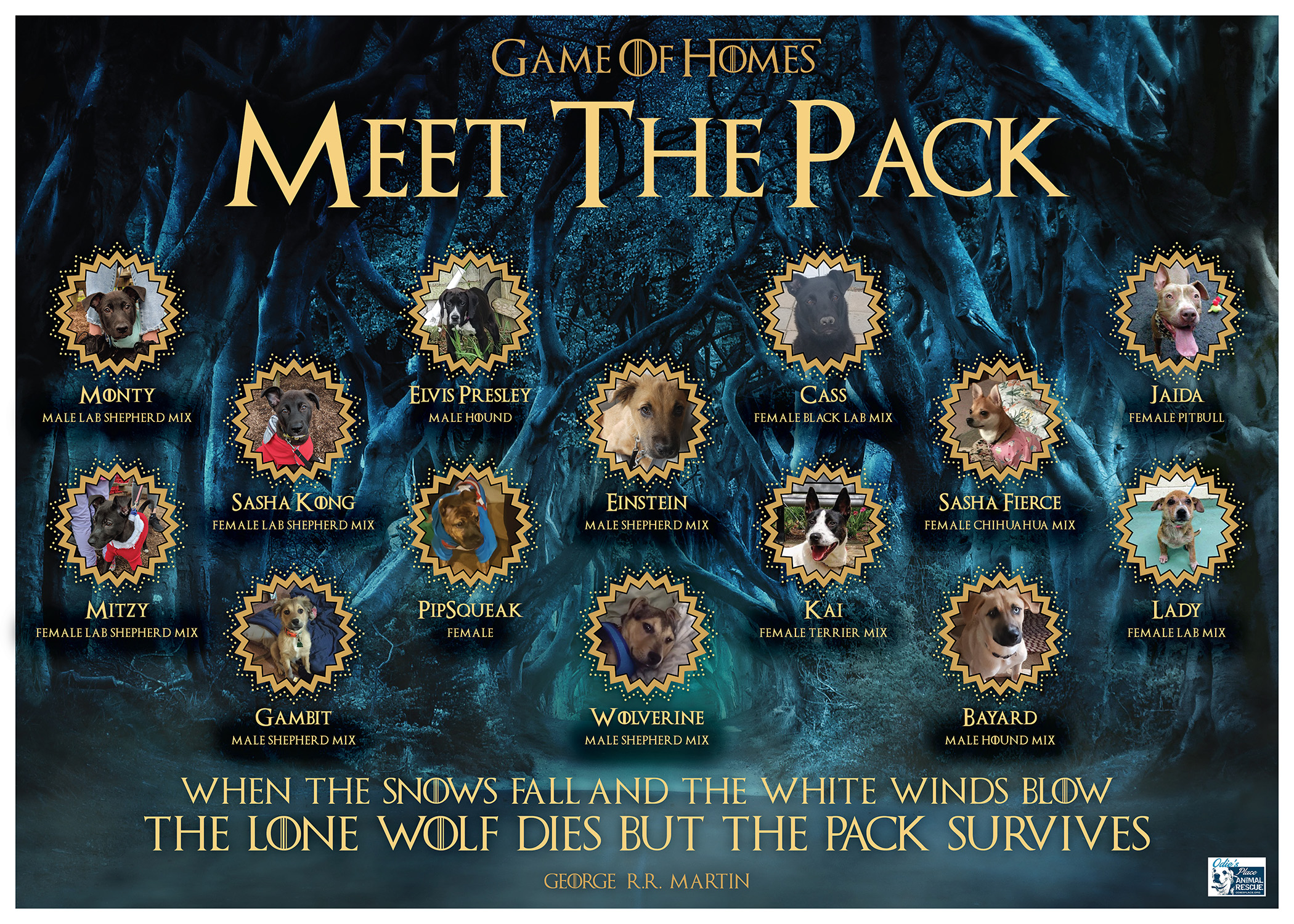 MeetThePack-Poster_02-01-SM.jpg