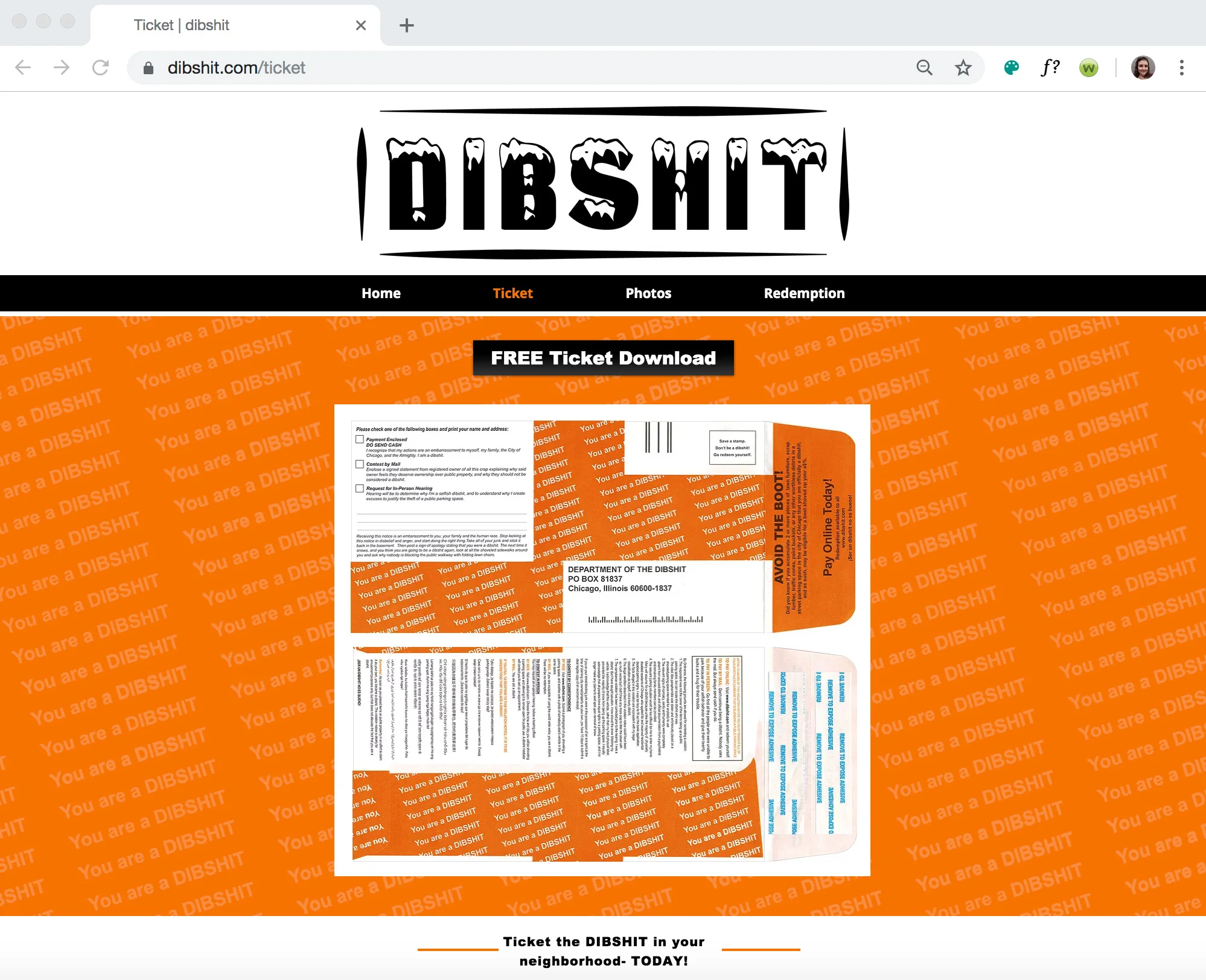 DibshitSite_02.jpg