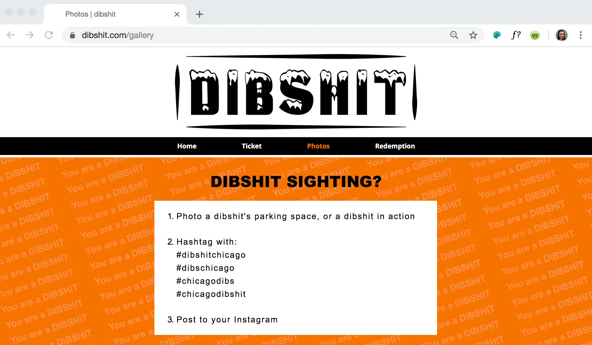 DibshitSite_03.jpg