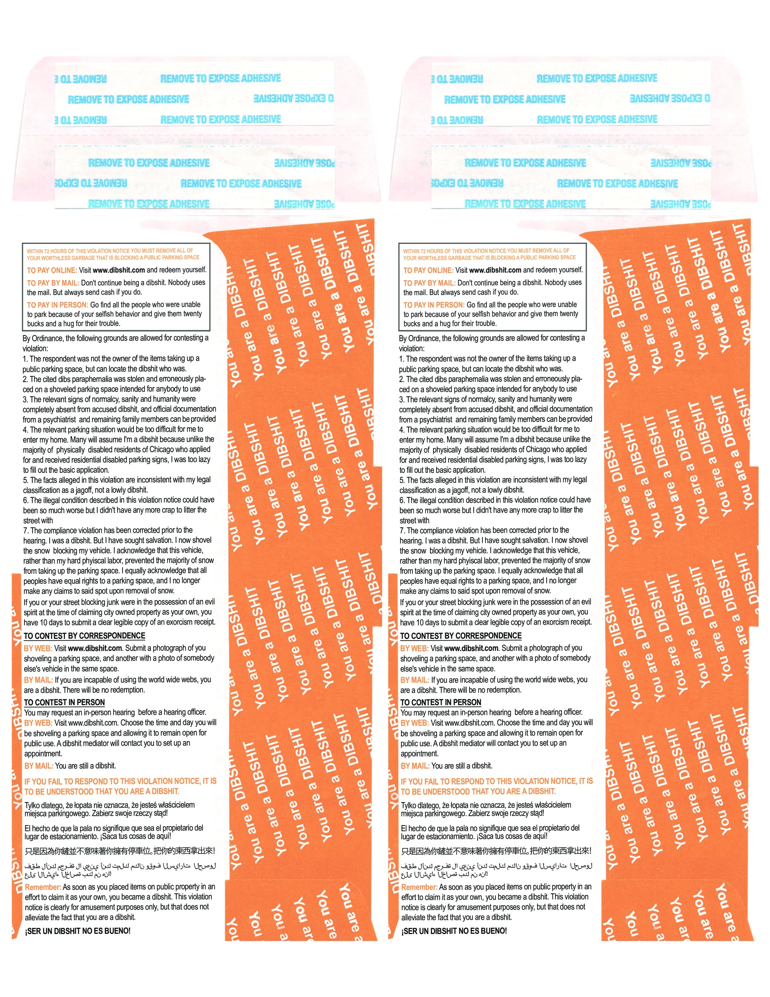 DibshitTicket_Page_2.jpg