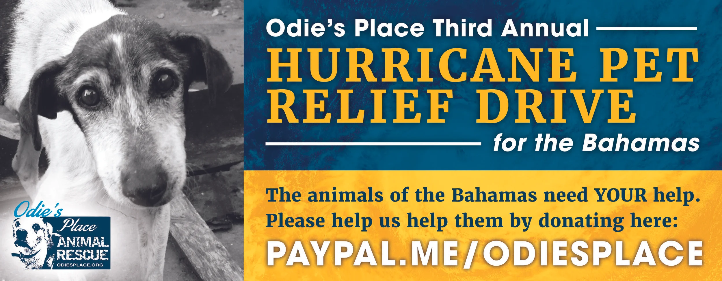 3rdAnnualHurricanePetReliefDrive-BANNER-9ftx3.5ft_01-01-sm.jpg