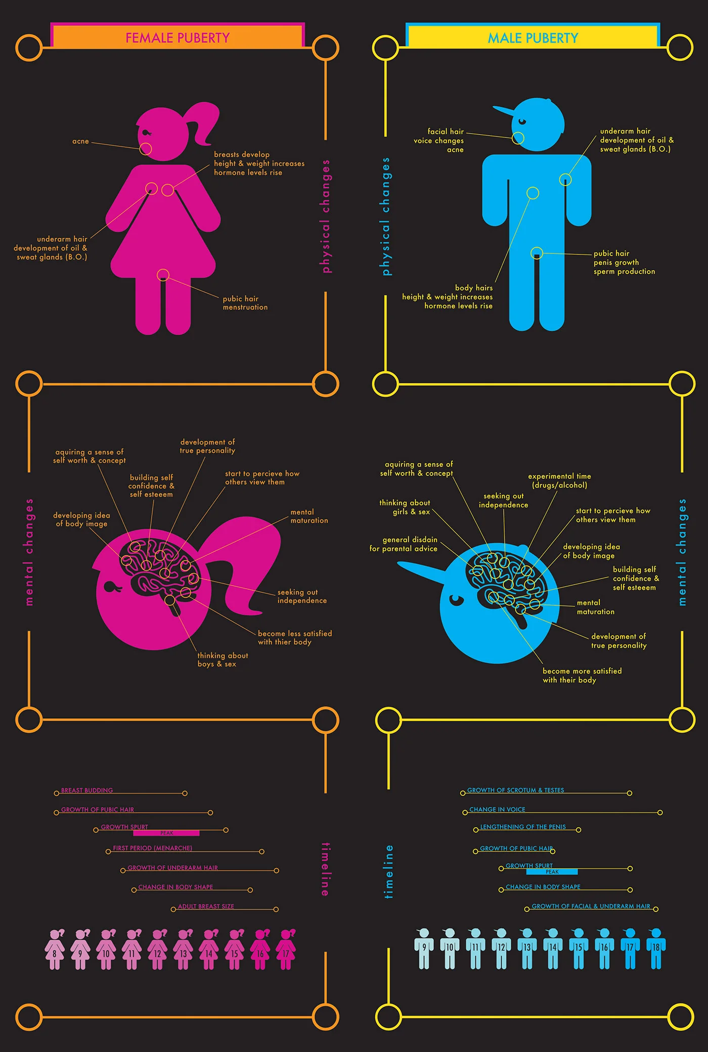  Versus style infographic based the changes that take place both physically and mentally in girls and boys during puberty. 