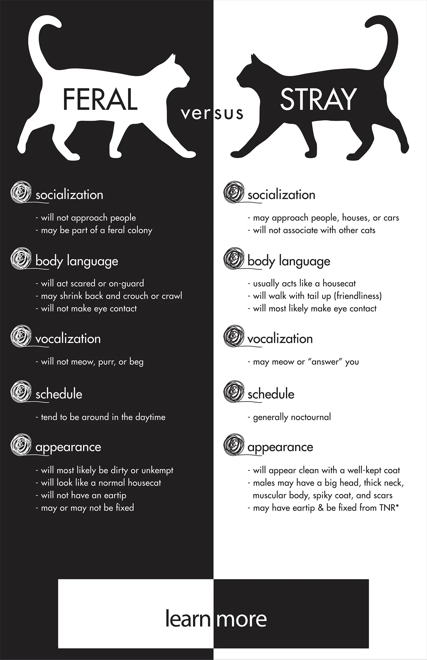  Feral vs. Stray infographic about cats inspired by my volunteer work at a local shelter at the time. The bottom "learn more" area is a pocket to hold the small complimentary 4-page brochure with more information and information source list. 