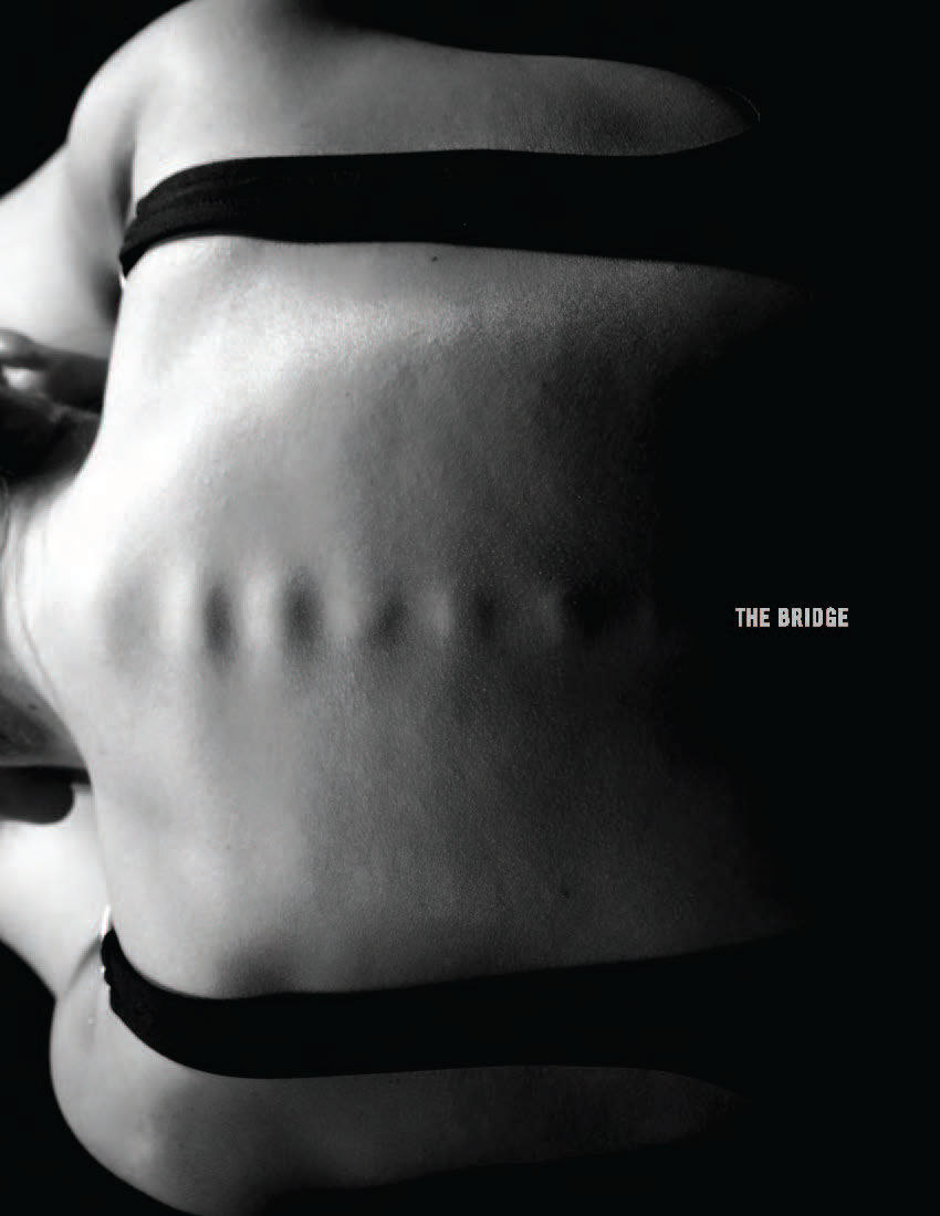 The Bridge: Volume 11 (2014)