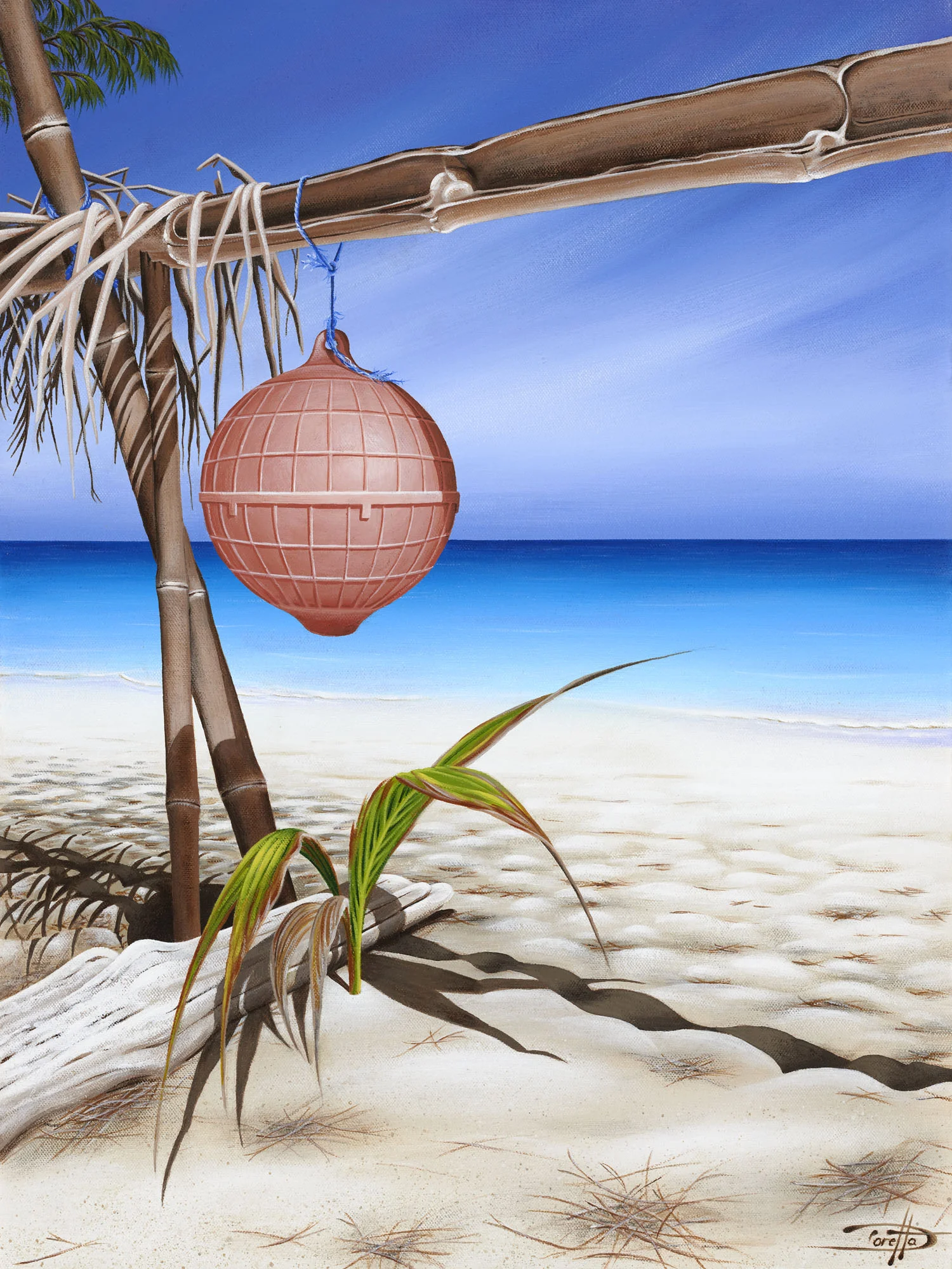 BUY "Castaway at Lizard Island" | Click on the image to see a larger version | more info