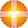 pgdronten.nl-logo