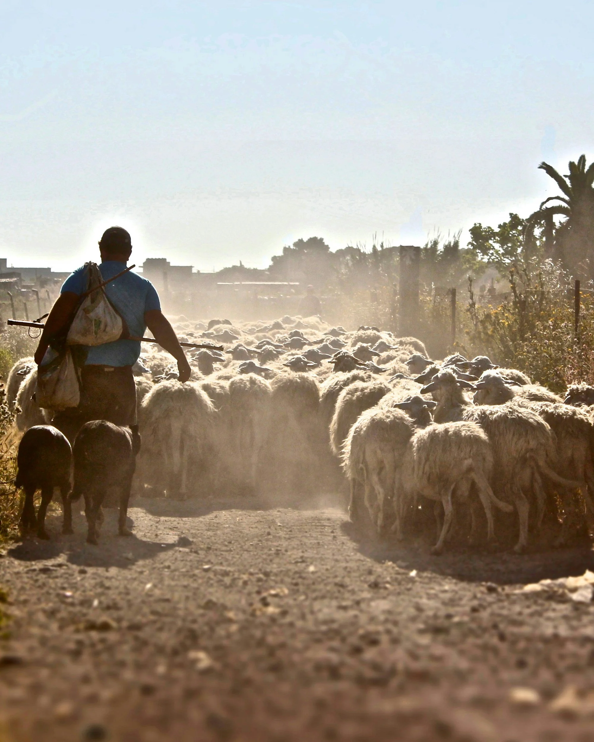 Pastoraat: ruimte om stil te staan
