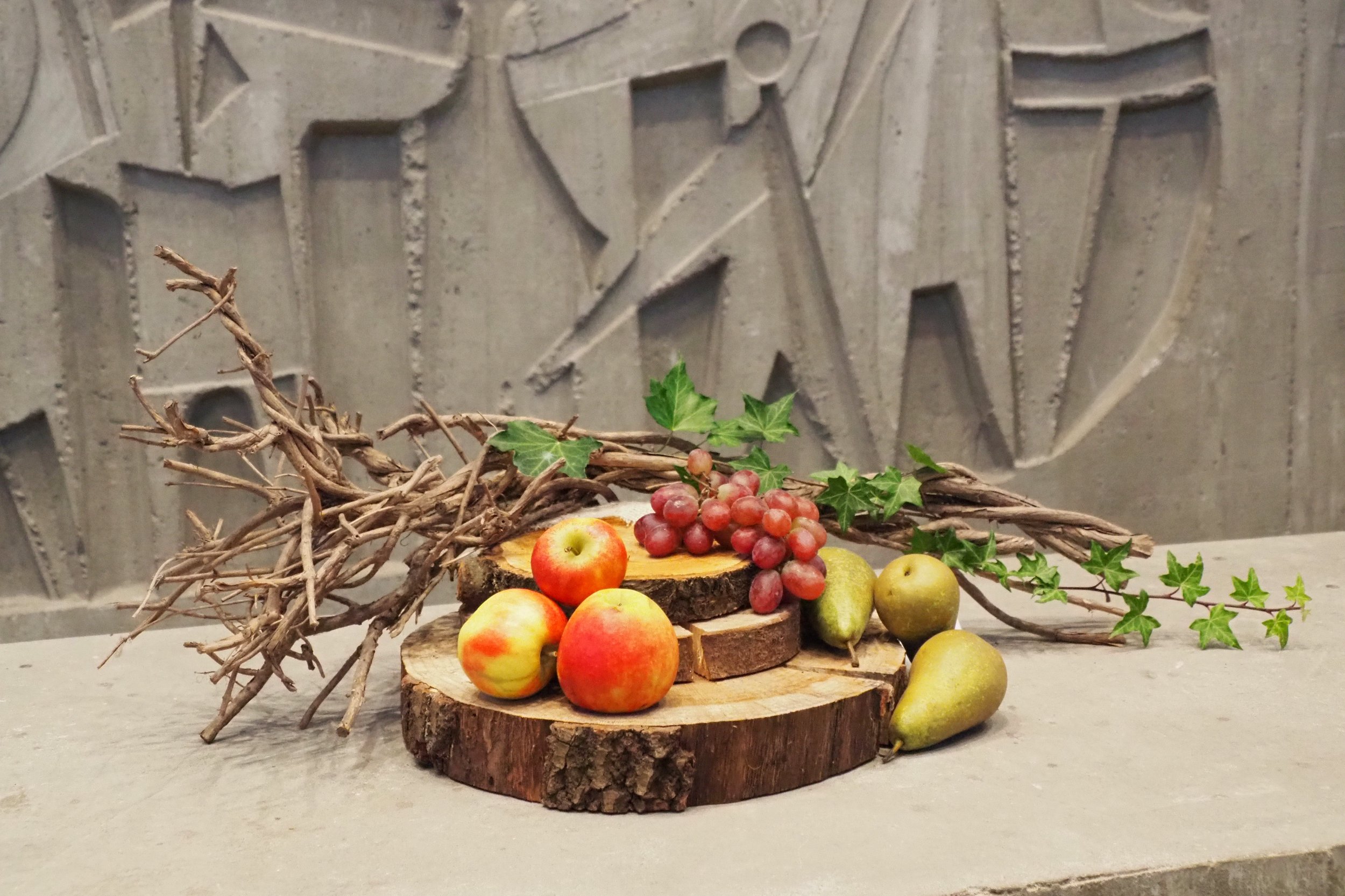 Dankdagcollecte 2024