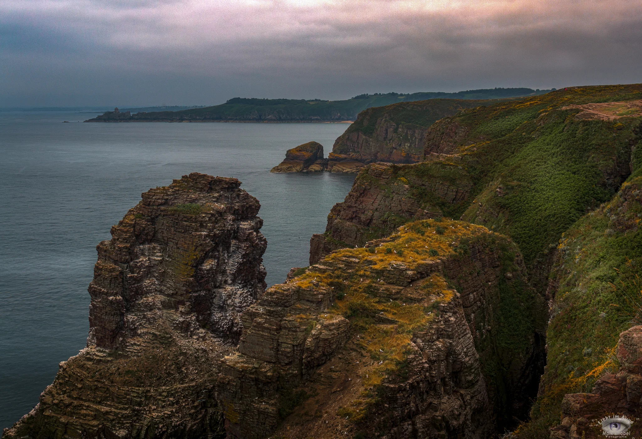 La Fauconnière - Cap Fréhel