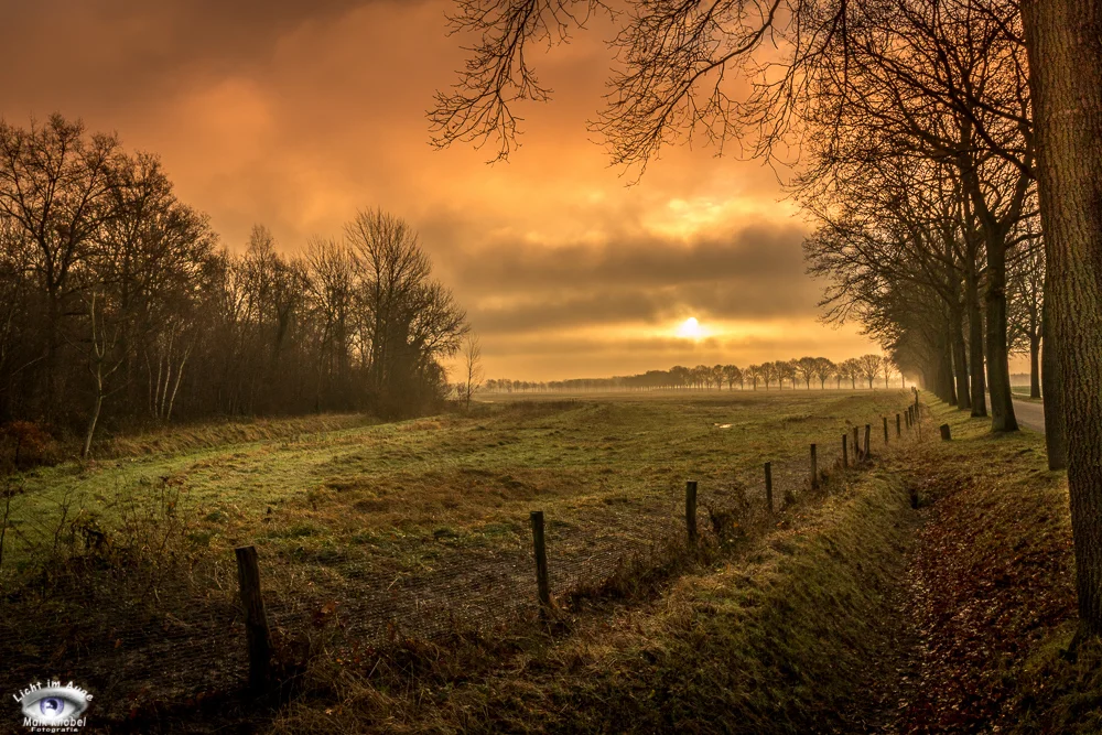 Morning @Posterholt