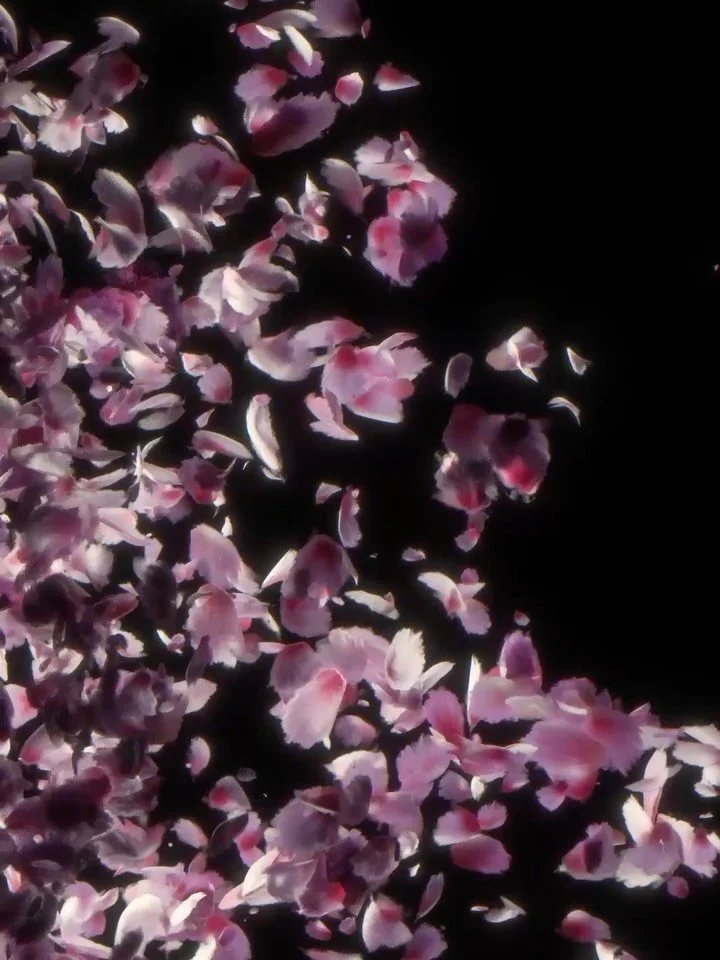 I&rsquo;m getting tired of AI and experimented with some self drawn flower petals in procreate #blender3d #b3d #procreate