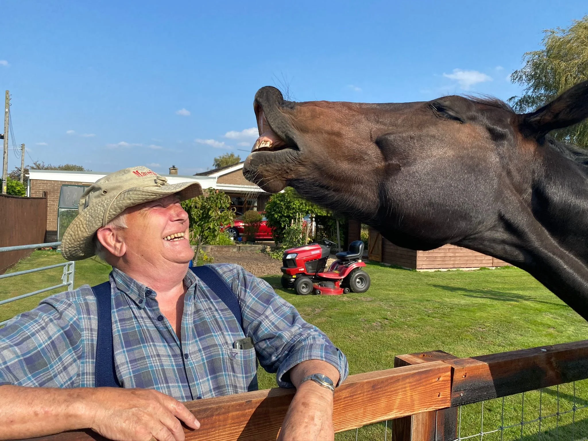 Old Hall Pet Residents — Old Hall Country Breaks