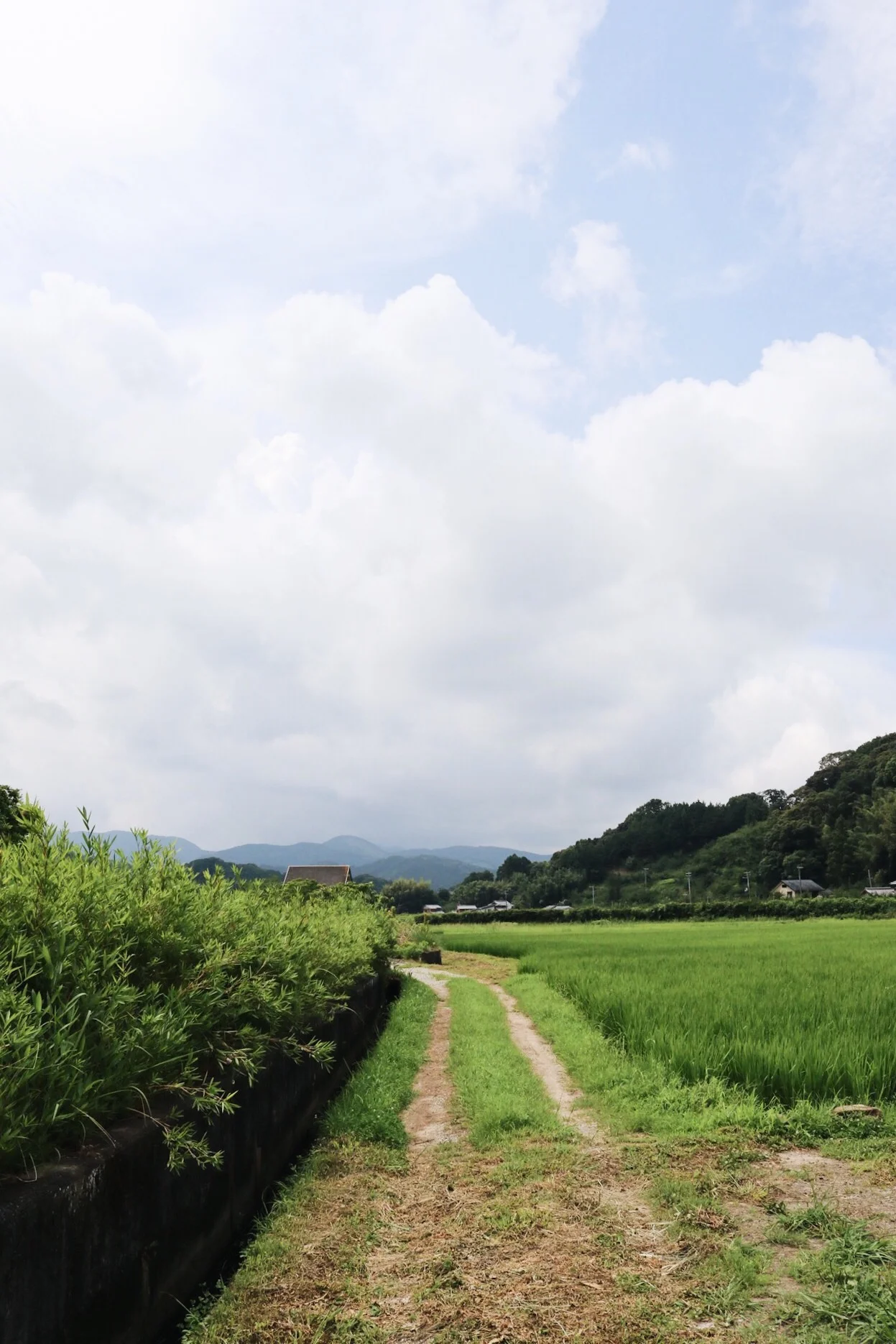 3FE87D07-761E-489E-B8D9-C187AAE6E8AE.JPG