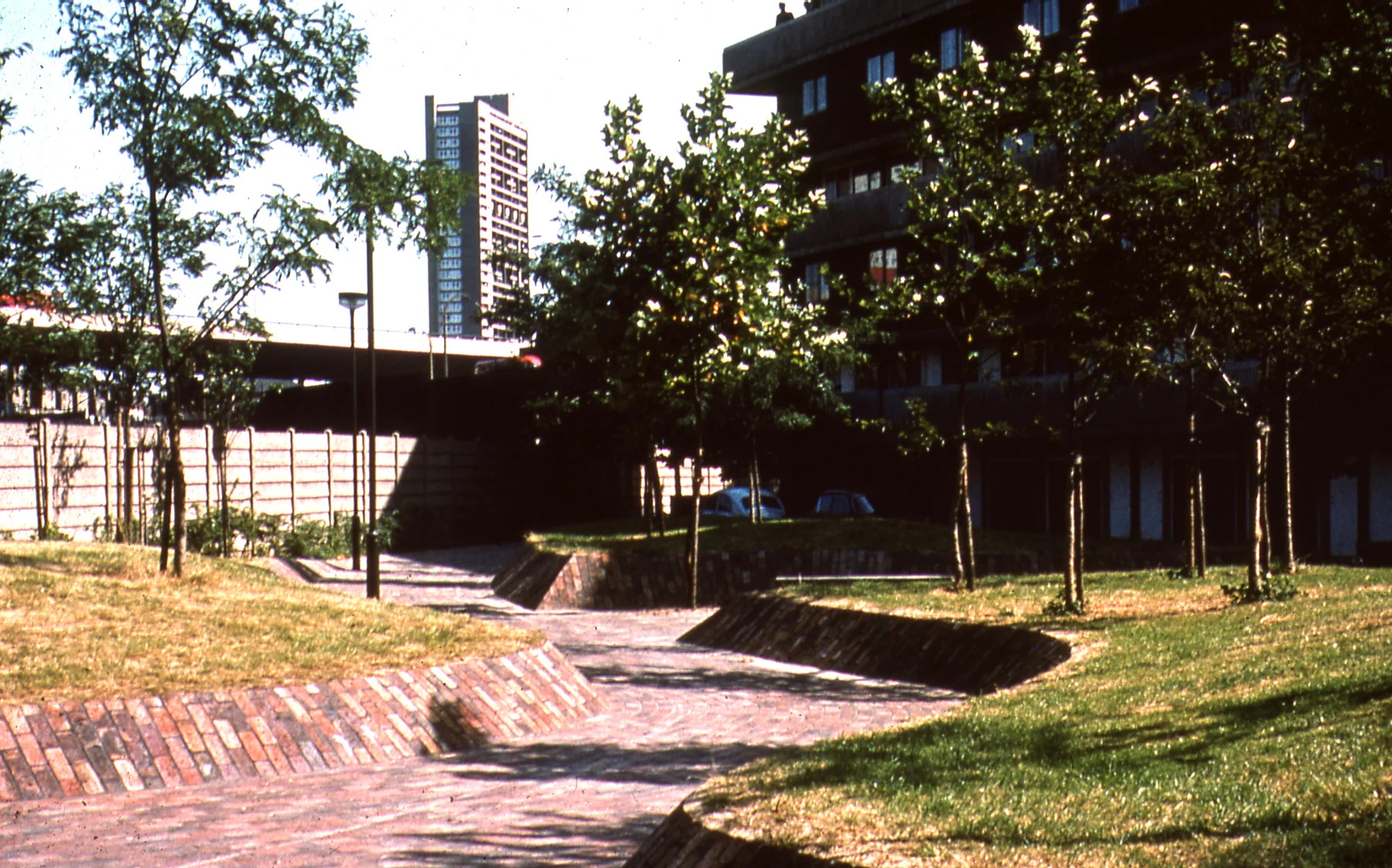 AR BRO PH5_1_0241B1medium.JPG