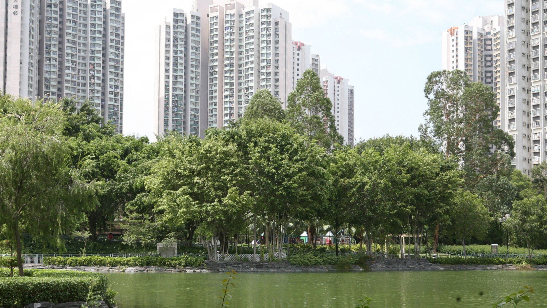 From the Contemporary Archive