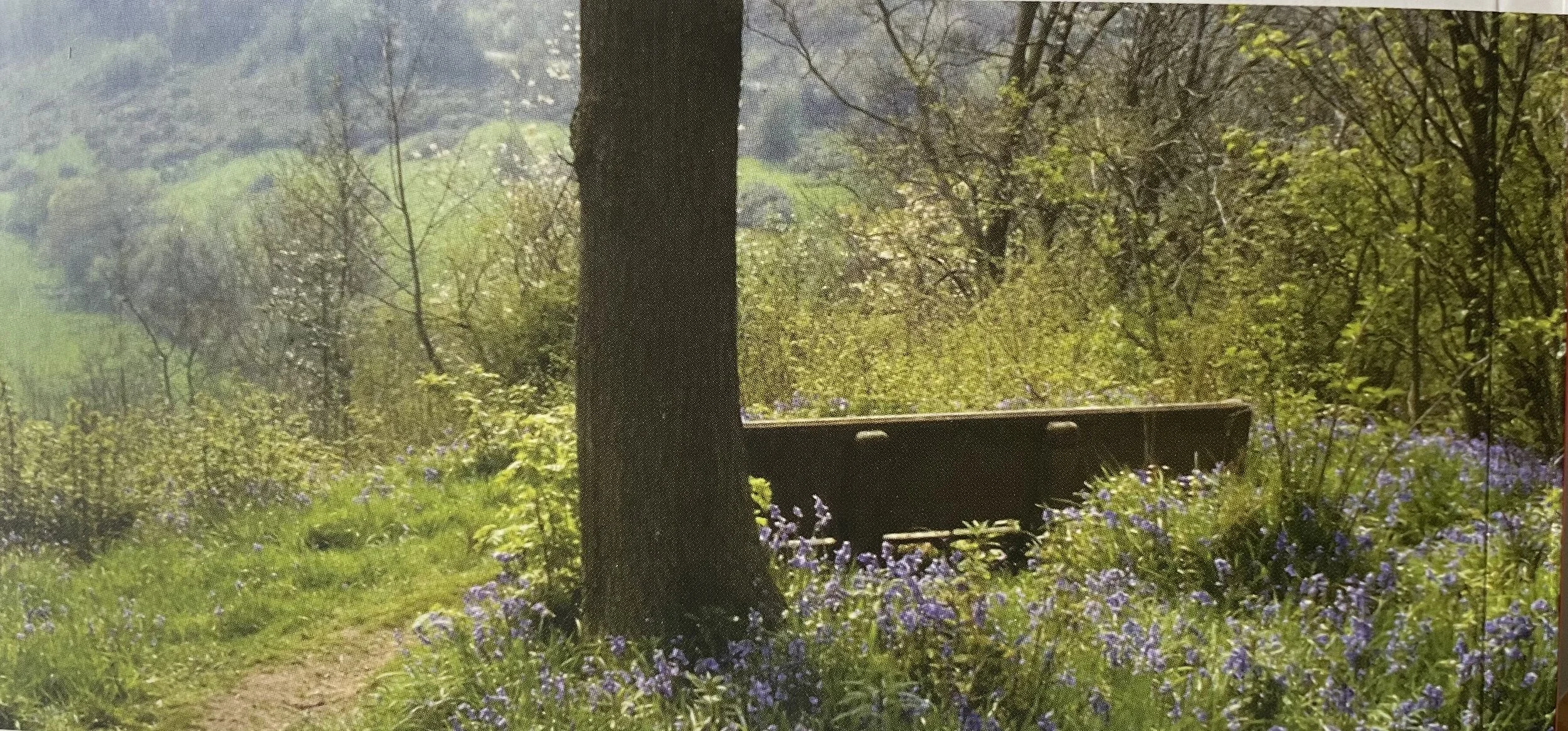 Sisters in the landscape - Miranda and Octavia Hill 
