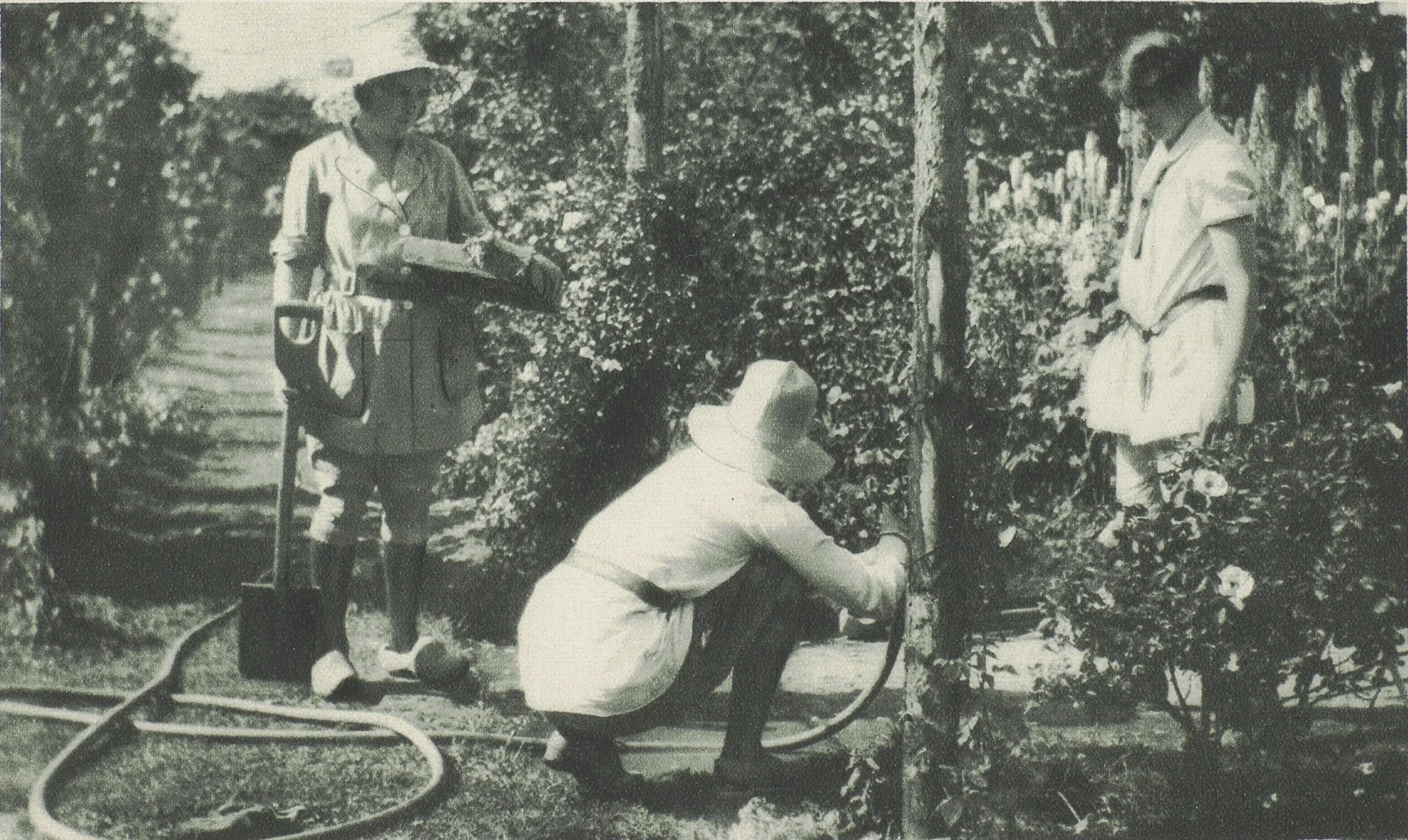 Building the Swedish Welfare landscapes, c. 1930–1960