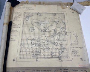 The challenges of developing a thesis on the impact and significance of the planting plan