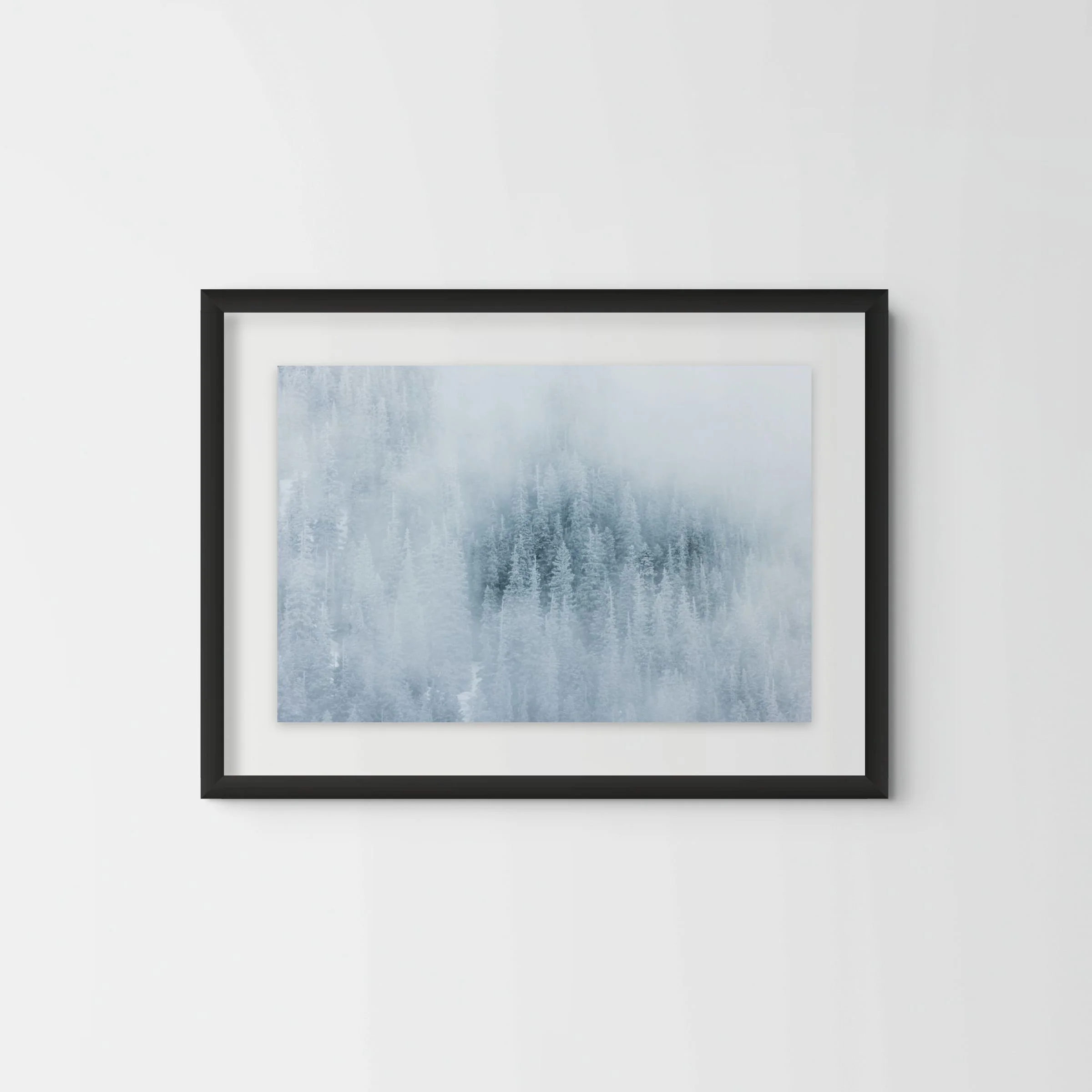 Misty-trees-landscape-photography-british-columbia-canada.jpg