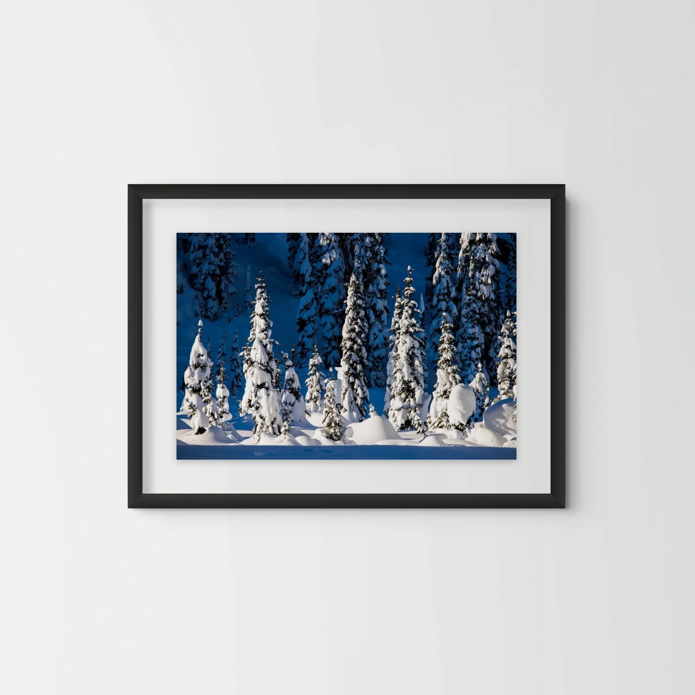snow-covered-trees-landscape-photography-british-columbia-canada.jpg