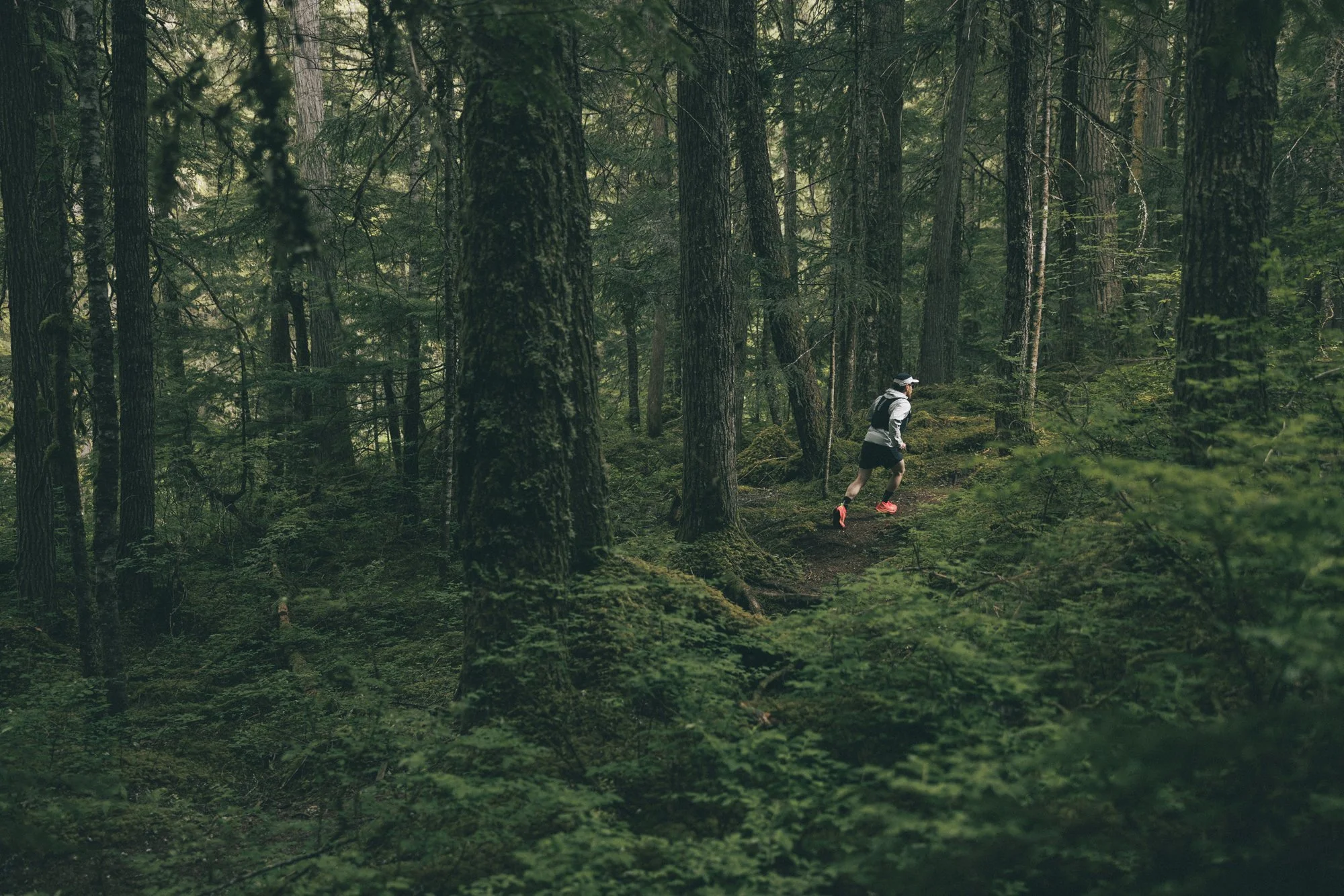 001-Rossignol-Trail-Running-Lifestyle-Photography-British Columbia-Canada.jpg