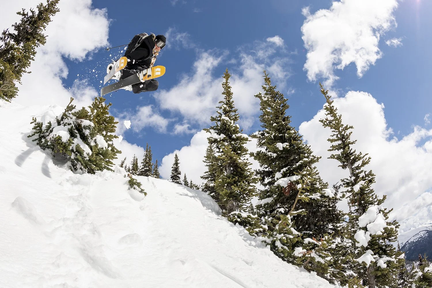 Armada Skis | W19