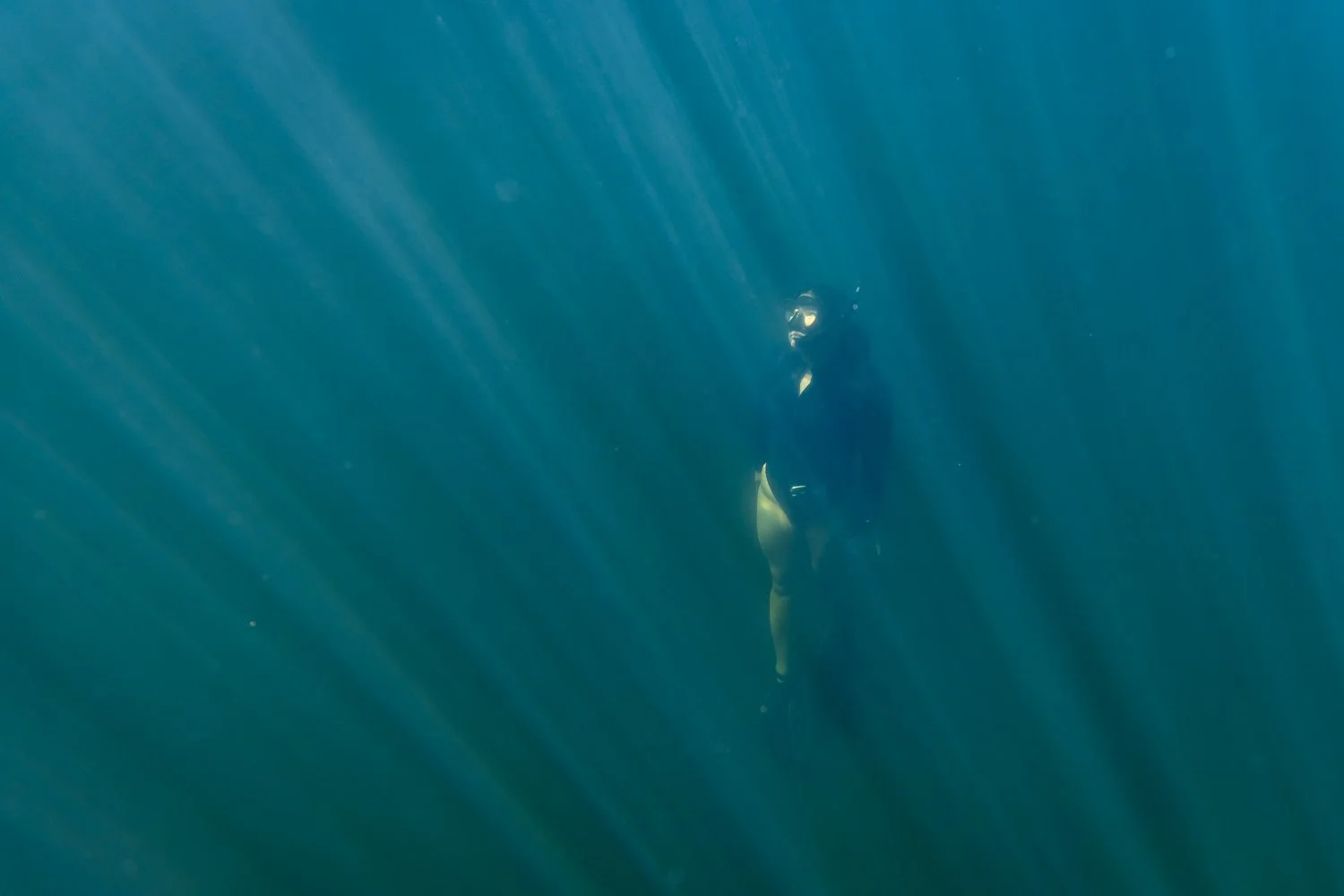 Freediving | Spec