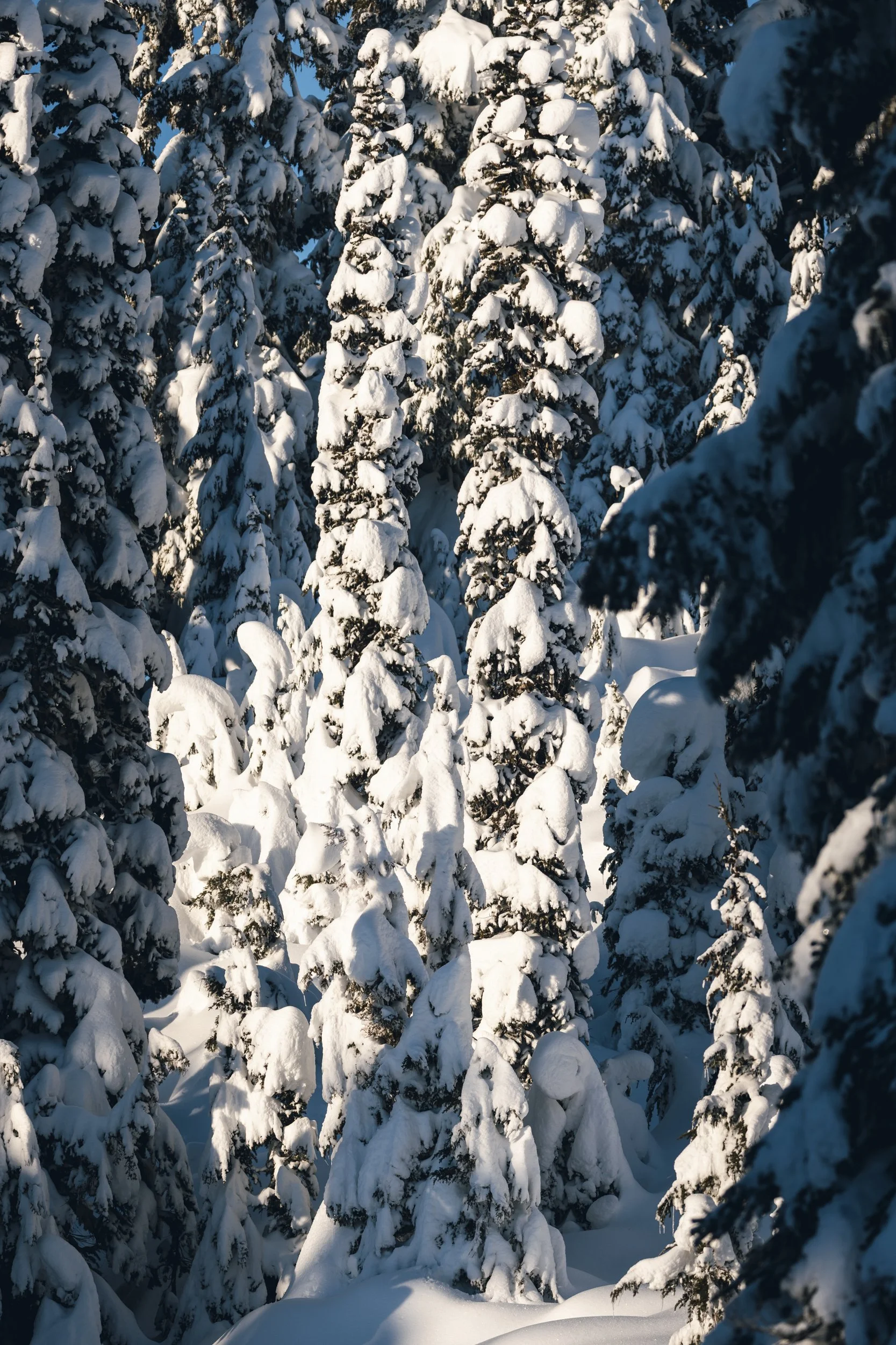 015-commercial-photographer-apres-lifestyle-photographer-British Columbia-Canada.jpg